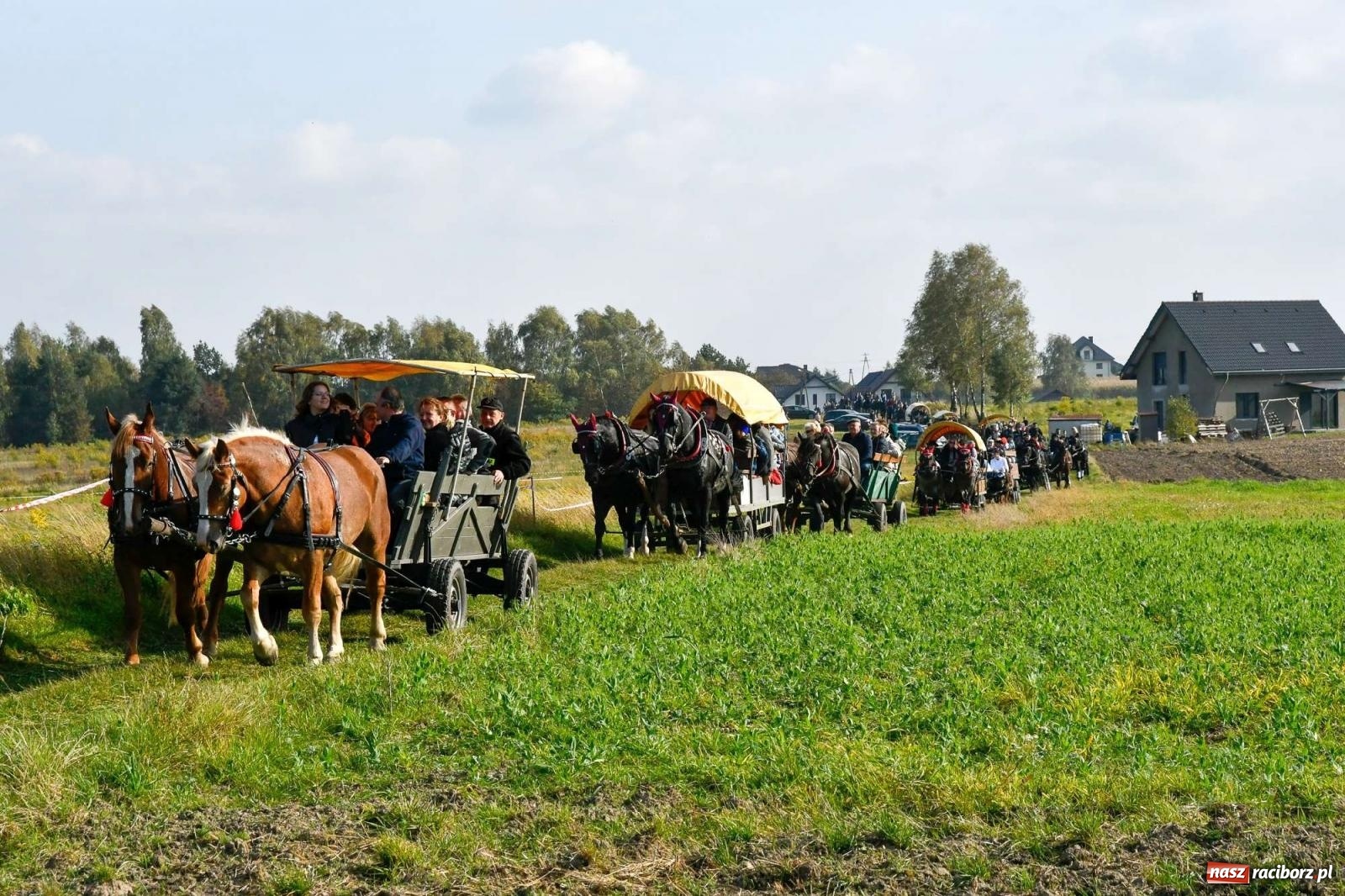 Zdjęcie w galerii na portalu naszraciborz.pl: Parada i pogoń z lisem, czyli piknik św. Huberta w Kornowacu [FOTO i WIDEO] wiadomości z regionu