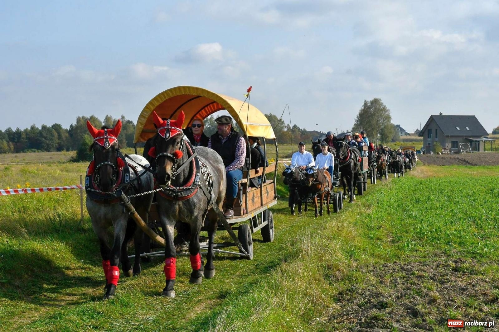 Zdjęcie w galerii na portalu naszraciborz.pl: Parada i pogoń z lisem, czyli piknik św. Huberta w Kornowacu [FOTO i WIDEO] wiadomości z regionu