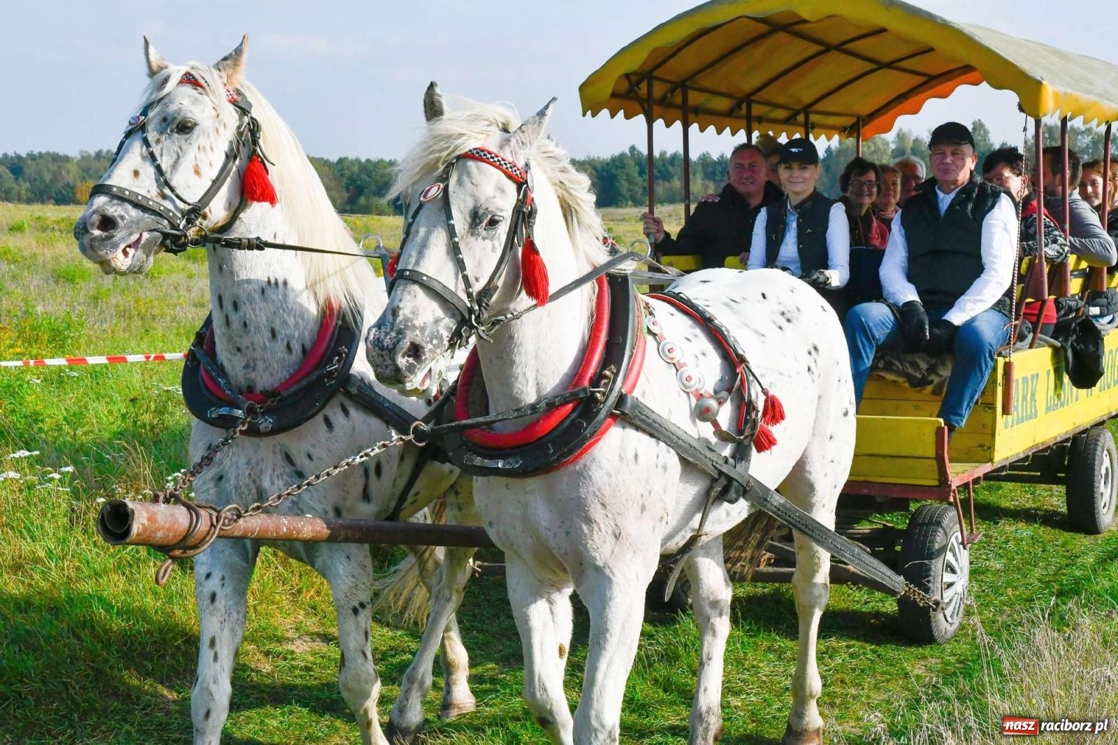 Zdjęcie w galerii na portalu naszraciborz.pl: Parada i pogoń z lisem, czyli piknik św. Huberta w Kornowacu [FOTO i WIDEO] wiadomości z regionu