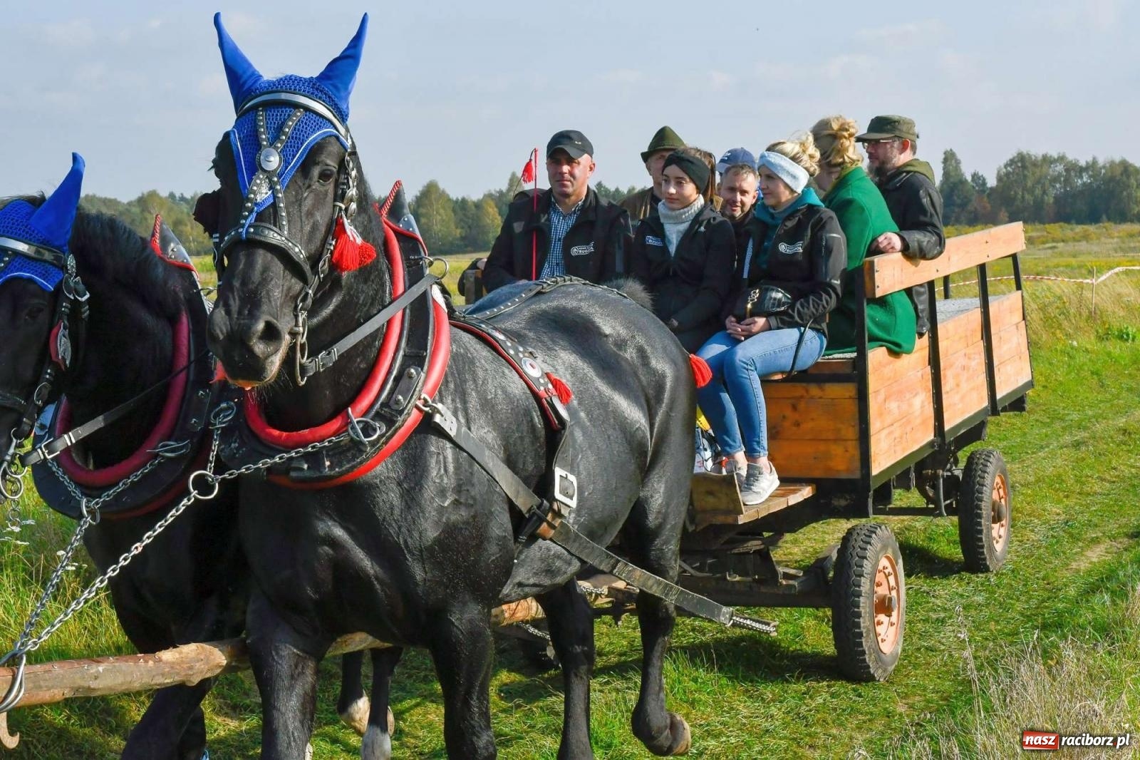 Zdjęcie w galerii na portalu naszraciborz.pl: Parada i pogoń z lisem, czyli piknik św. Huberta w Kornowacu [FOTO i WIDEO] wiadomości z regionu