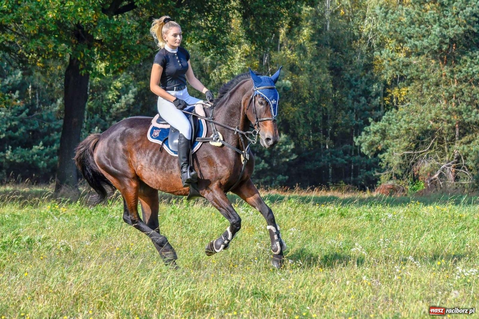 Zdjęcie w galerii na portalu naszraciborz.pl: Parada i pogoń z lisem, czyli piknik św. Huberta w Kornowacu [FOTO i WIDEO] wiadomości z regionu