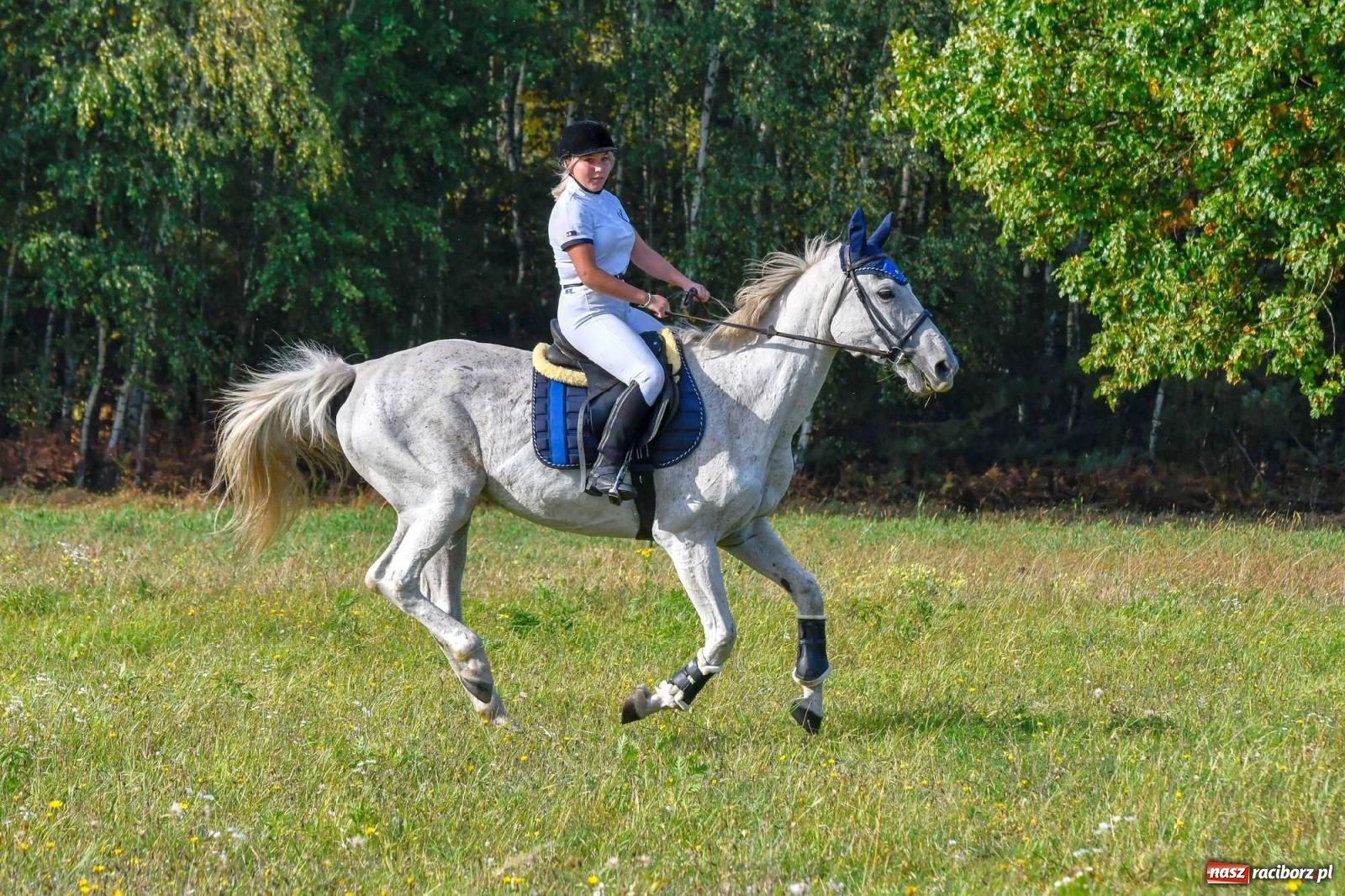 Zdjęcie w galerii na portalu naszraciborz.pl: Parada i pogoń z lisem, czyli piknik św. Huberta w Kornowacu [FOTO i WIDEO] wiadomości z regionu