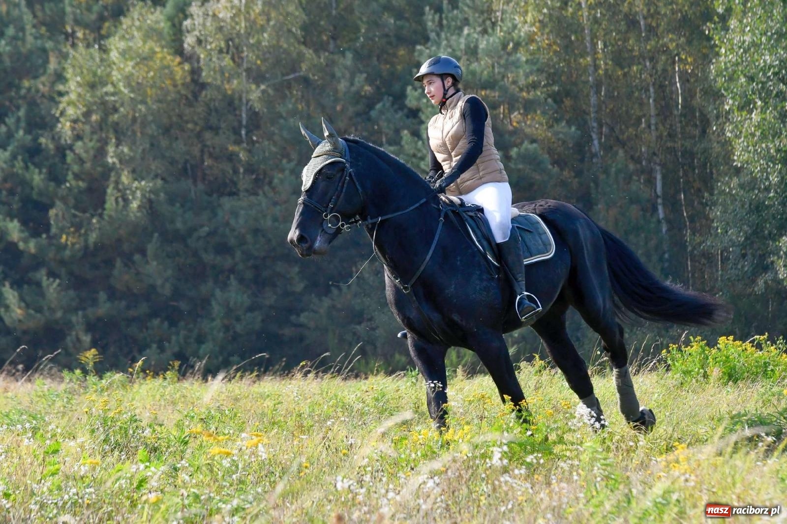 Zdjęcie w galerii na portalu naszraciborz.pl: Parada i pogoń z lisem, czyli piknik św. Huberta w Kornowacu [FOTO i WIDEO] wiadomości z regionu