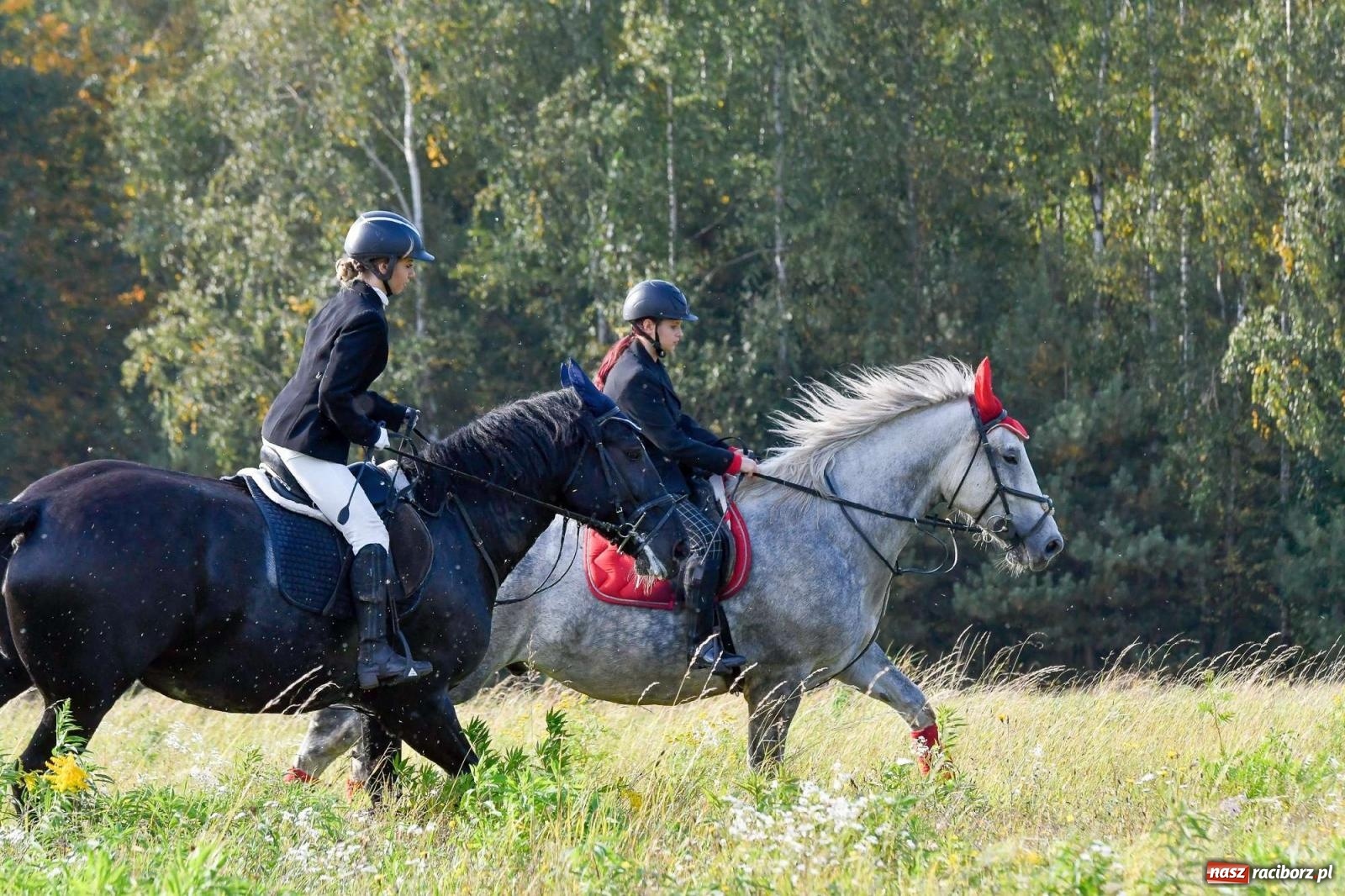 Zdjęcie w galerii na portalu naszraciborz.pl: Parada i pogoń z lisem, czyli piknik św. Huberta w Kornowacu [FOTO i WIDEO] wiadomości z regionu