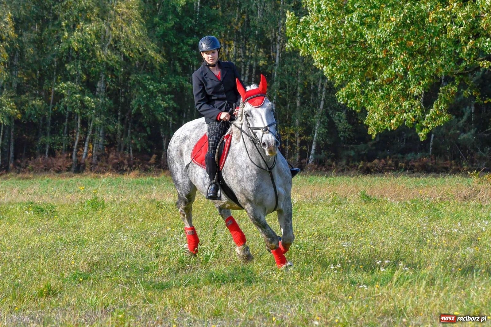 Zdjęcie w galerii na portalu naszraciborz.pl: Parada i pogoń z lisem, czyli piknik św. Huberta w Kornowacu [FOTO i WIDEO] wiadomości z regionu