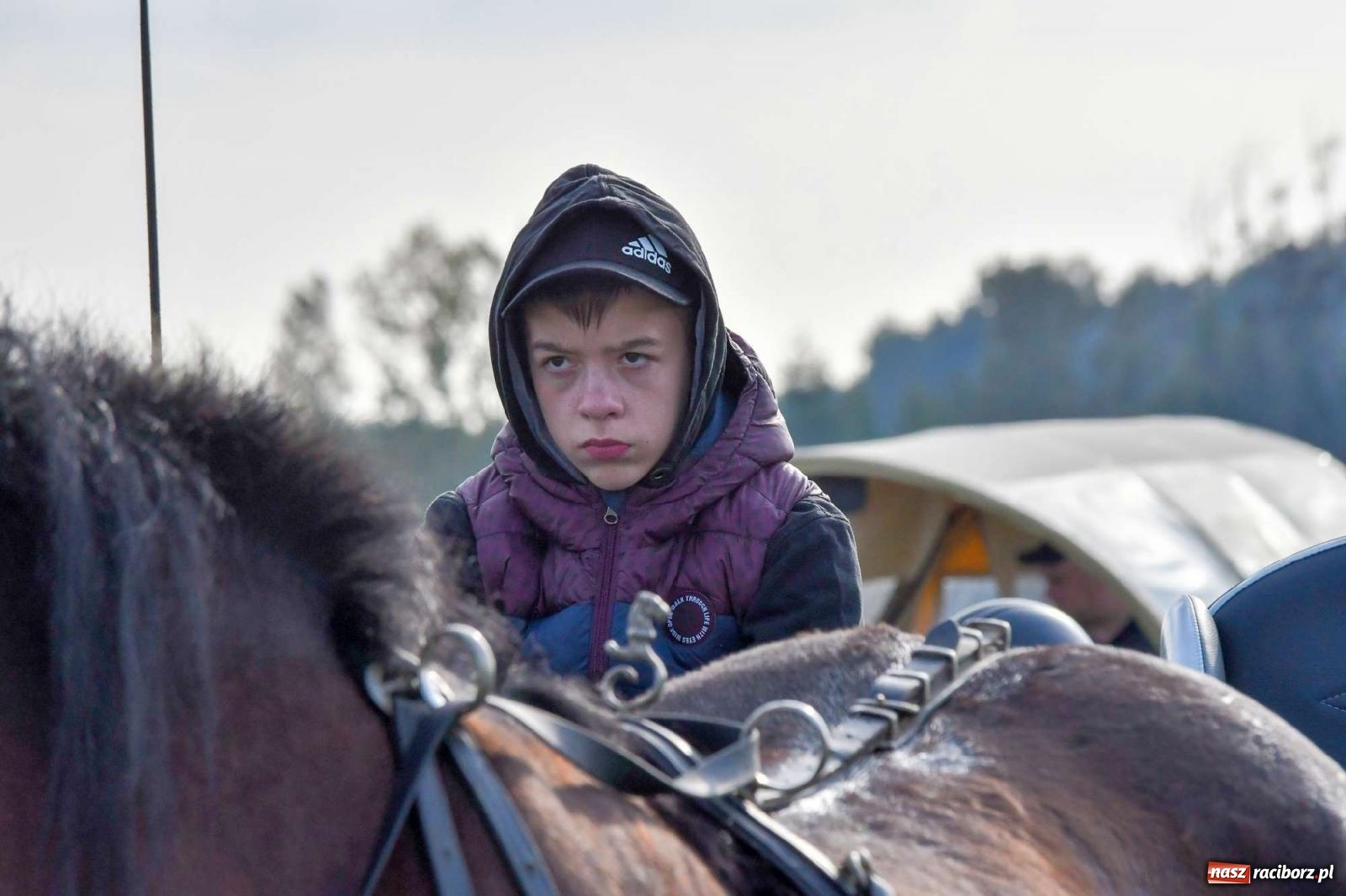 Zdjęcie w galerii na portalu naszraciborz.pl: Parada i pogoń z lisem, czyli piknik św. Huberta w Kornowacu [FOTO i WIDEO] wiadomości z regionu
