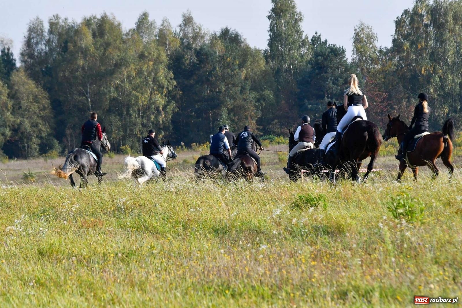Zdjęcie w galerii na portalu naszraciborz.pl: Parada i pogoń z lisem, czyli piknik św. Huberta w Kornowacu [FOTO i WIDEO] wiadomości z regionu