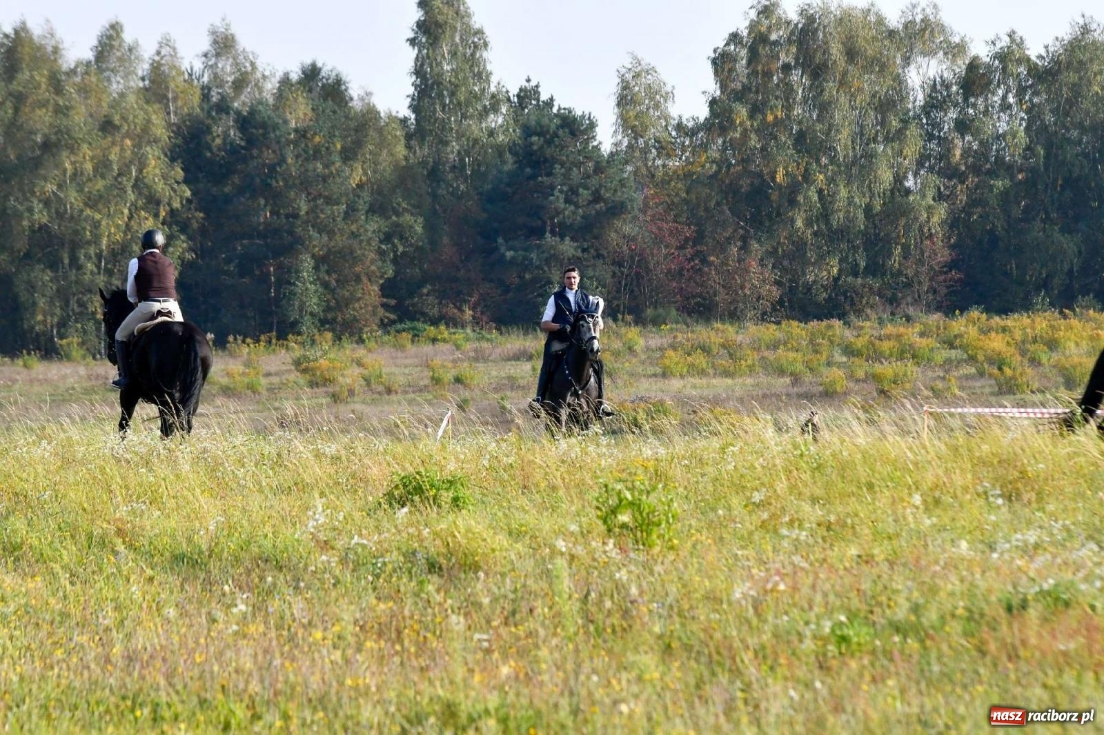 Zdjęcie w galerii na portalu naszraciborz.pl: Parada i pogoń z lisem, czyli piknik św. Huberta w Kornowacu [FOTO i WIDEO] wiadomości z regionu