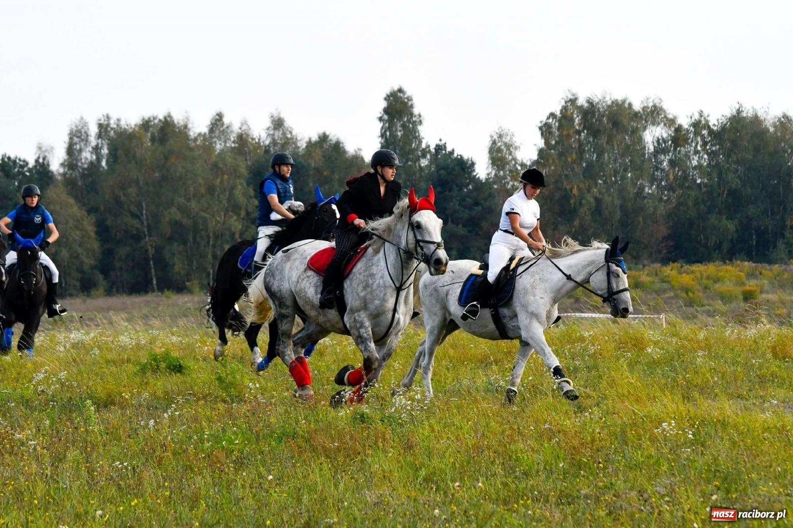 Zdjęcie w galerii na portalu naszraciborz.pl: Parada i pogoń z lisem, czyli piknik św. Huberta w Kornowacu [FOTO i WIDEO] wiadomości z regionu