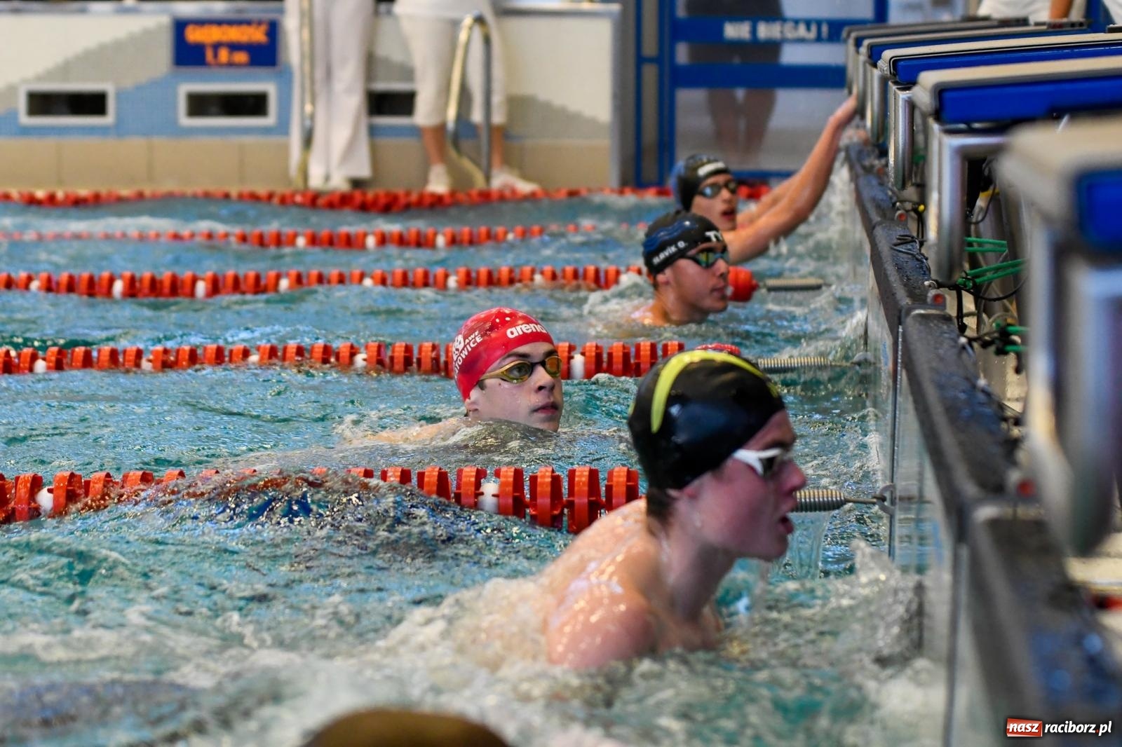 Zdjęcie w galerii na portalu naszraciborz.pl: Pływackie sprinty w Raciborzu. Stawką Puchar Marszałka wiadomości z regionu