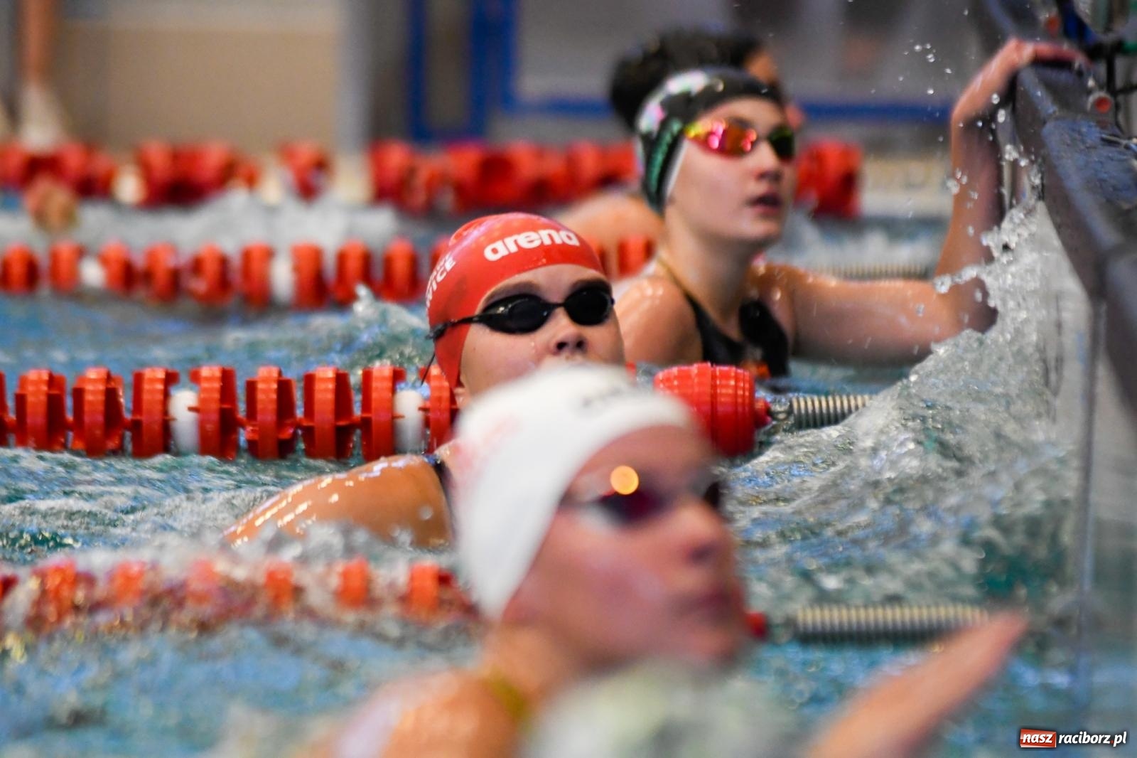 Zdjęcie w galerii na portalu naszraciborz.pl: Pływackie sprinty w Raciborzu. Stawką Puchar Marszałka wiadomości z regionu