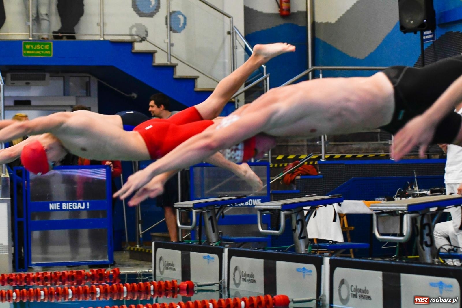 Zdjęcie w galerii na portalu naszraciborz.pl: Pływackie sprinty w Raciborzu. Stawką Puchar Marszałka wiadomości z regionu