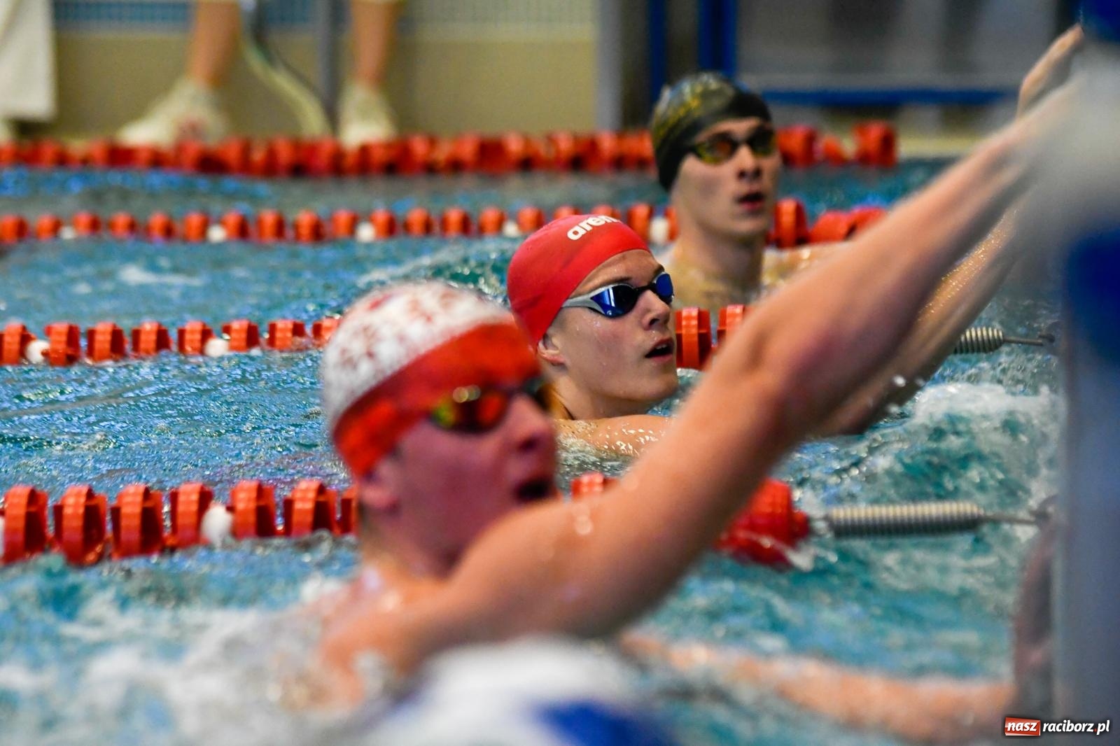 Zdjęcie w galerii na portalu naszraciborz.pl: Pływackie sprinty w Raciborzu. Stawką Puchar Marszałka wiadomości z regionu