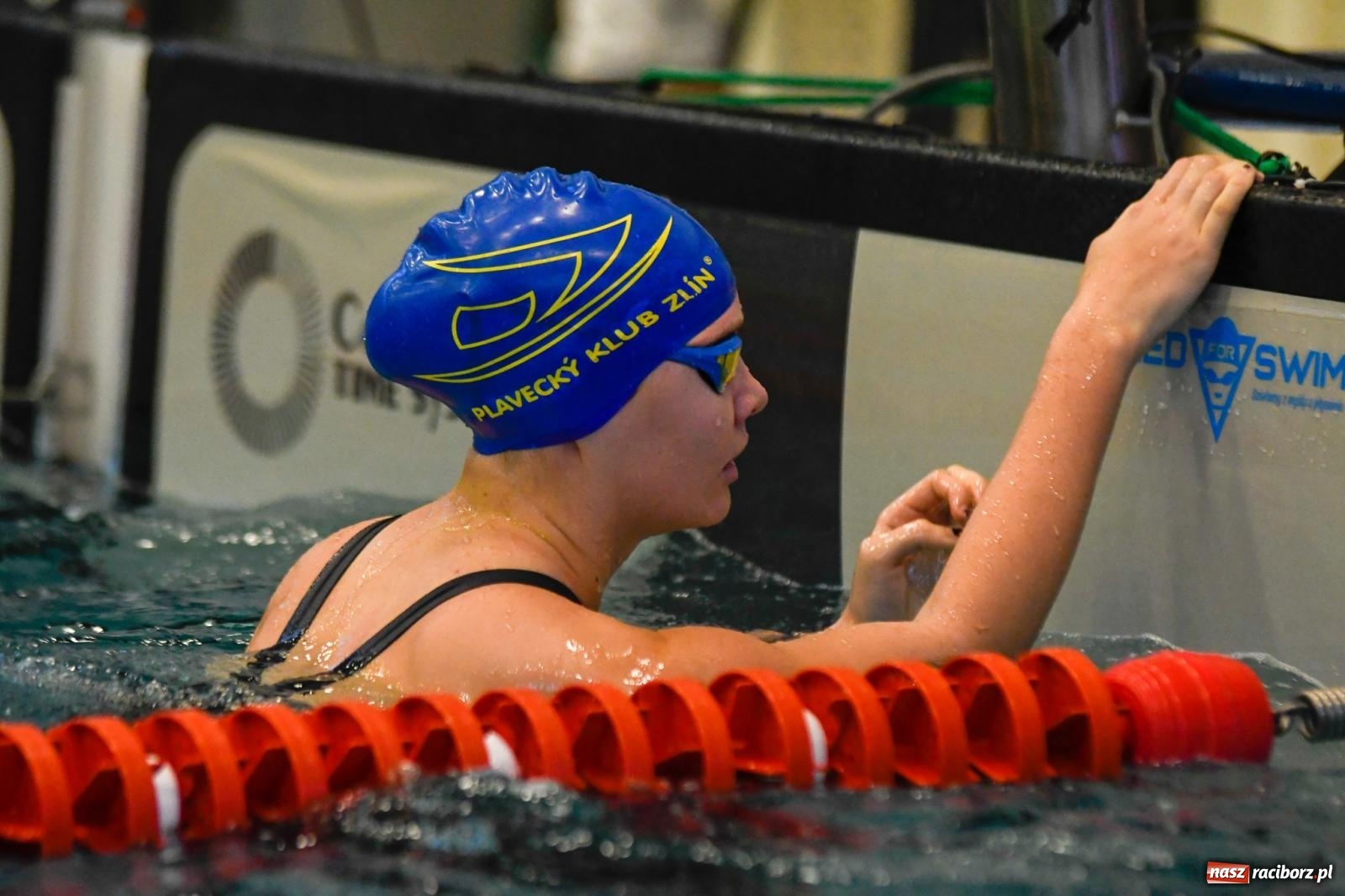 Zdjęcie w galerii na portalu naszraciborz.pl: Pływackie sprinty w Raciborzu. Stawką Puchar Marszałka wiadomości z regionu
