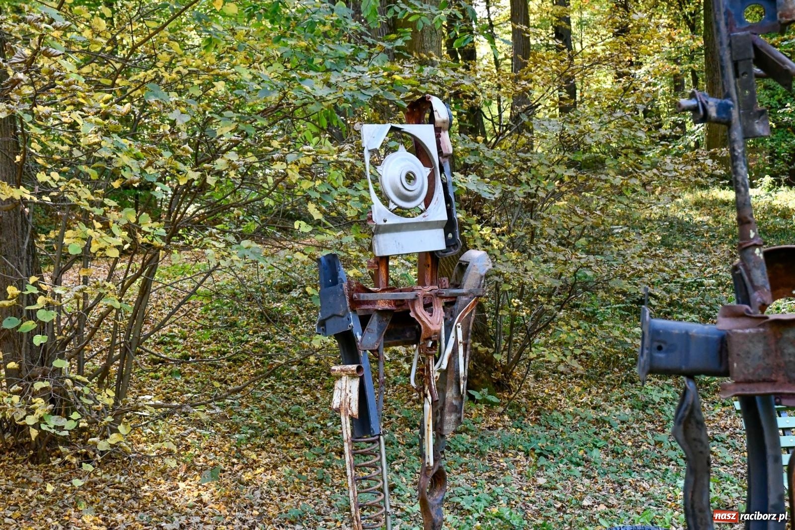 Zdjęcie w galerii na portalu naszraciborz.pl: ROZBITKOWIE Podleśnego. Ze Stoczni Gdańskiej nad Szuwarowy Staw w Oborze wiadomości z regionu