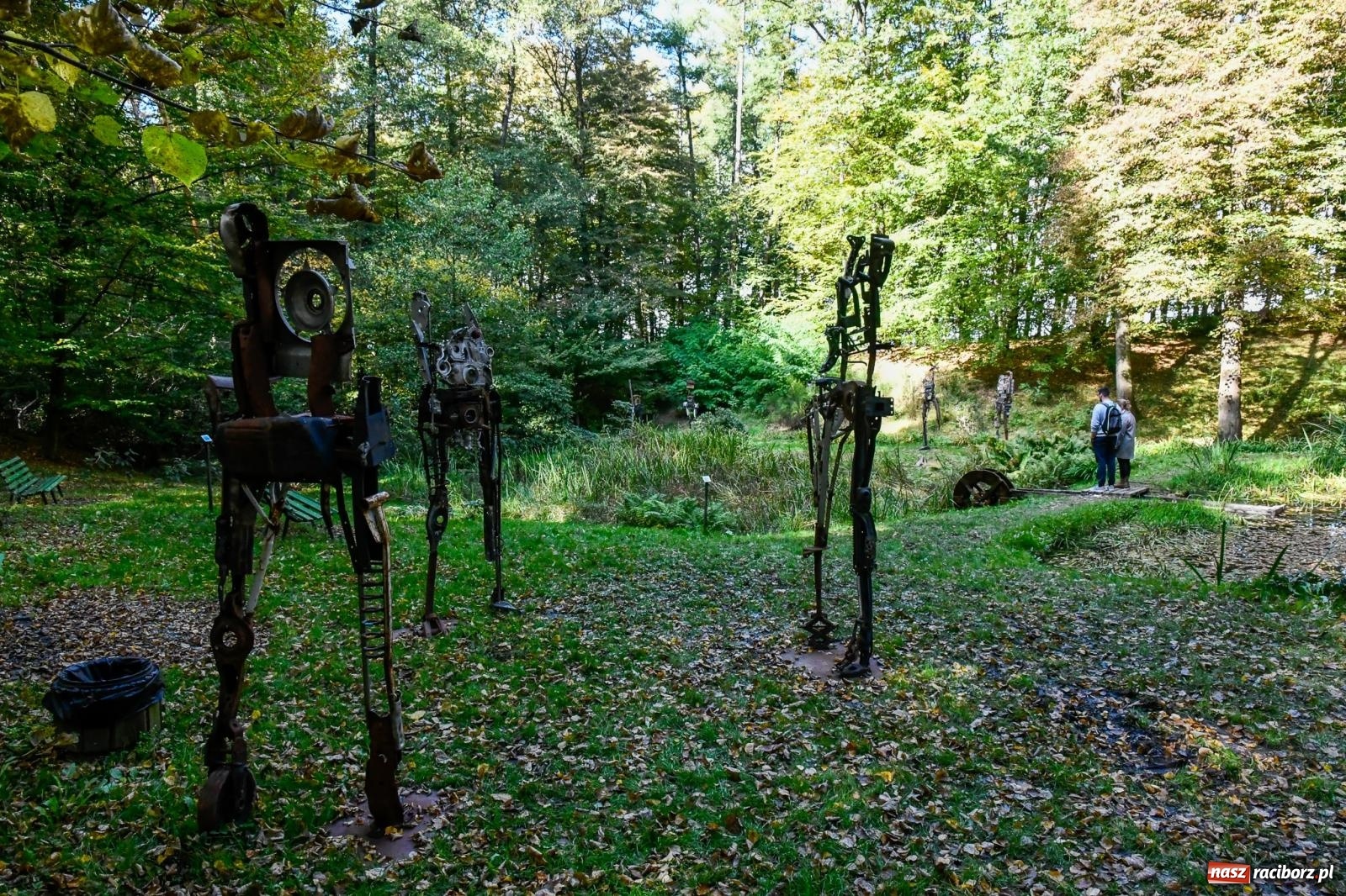Zdjęcie w galerii na portalu naszraciborz.pl: ROZBITKOWIE Podleśnego. Ze Stoczni Gdańskiej nad Szuwarowy Staw w Oborze wiadomości z regionu