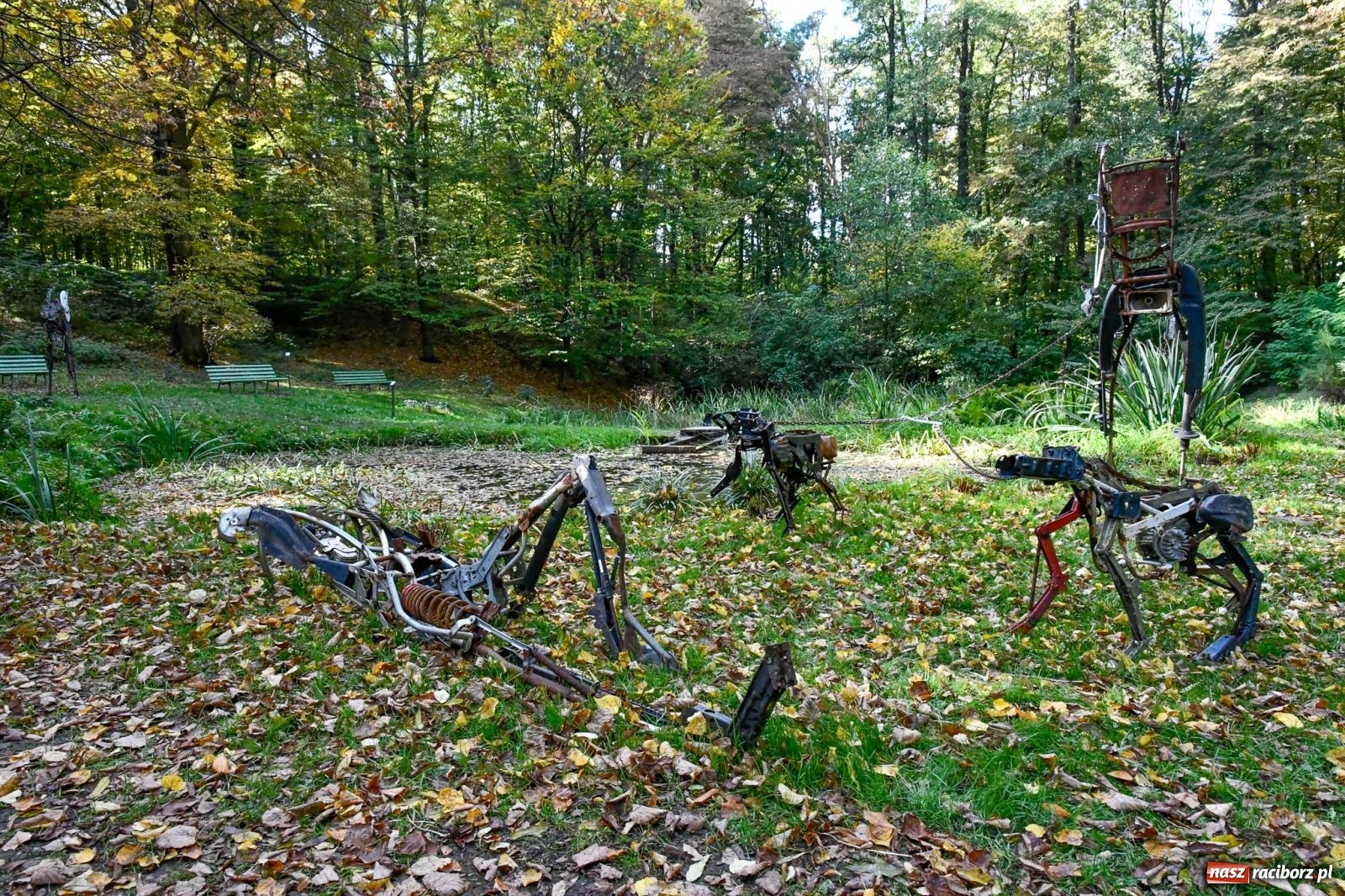 Zdjęcie w galerii na portalu naszraciborz.pl: ROZBITKOWIE Podleśnego. Ze Stoczni Gdańskiej nad Szuwarowy Staw w Oborze wiadomości z regionu