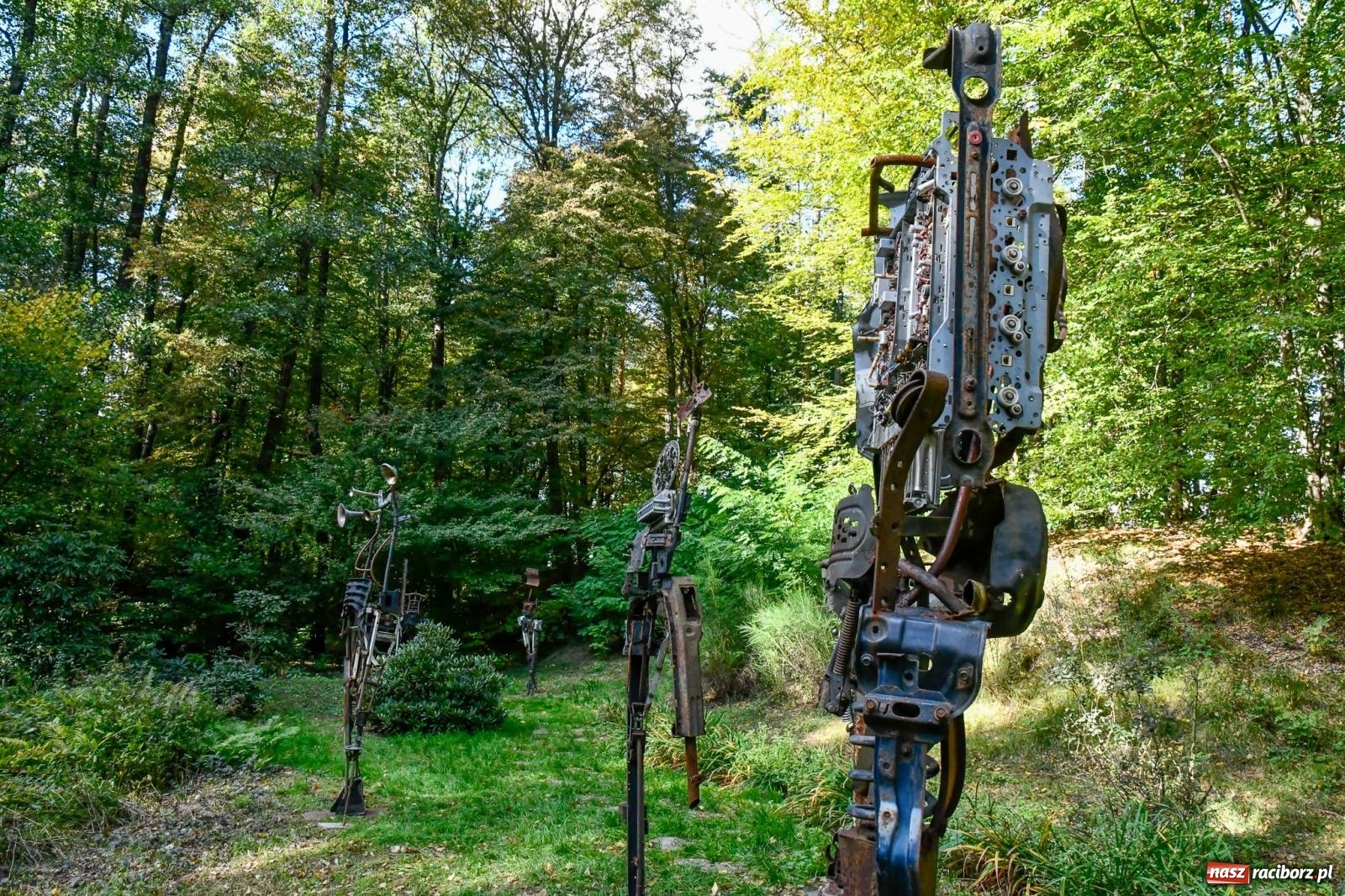 Zdjęcie w galerii na portalu naszraciborz.pl: ROZBITKOWIE Podleśnego. Ze Stoczni Gdańskiej nad Szuwarowy Staw w Oborze wiadomości z regionu