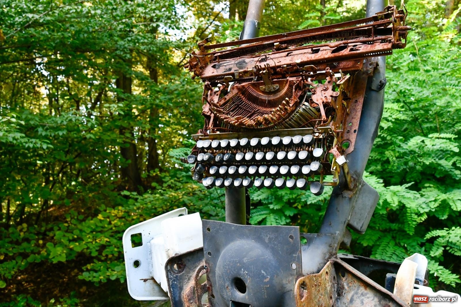 Zdjęcie w galerii na portalu naszraciborz.pl: ROZBITKOWIE Podleśnego. Ze Stoczni Gdańskiej nad Szuwarowy Staw w Oborze wiadomości z regionu