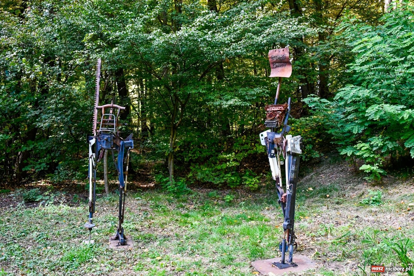 Zdjęcie w galerii na portalu naszraciborz.pl: ROZBITKOWIE Podleśnego. Ze Stoczni Gdańskiej nad Szuwarowy Staw w Oborze wiadomości z regionu