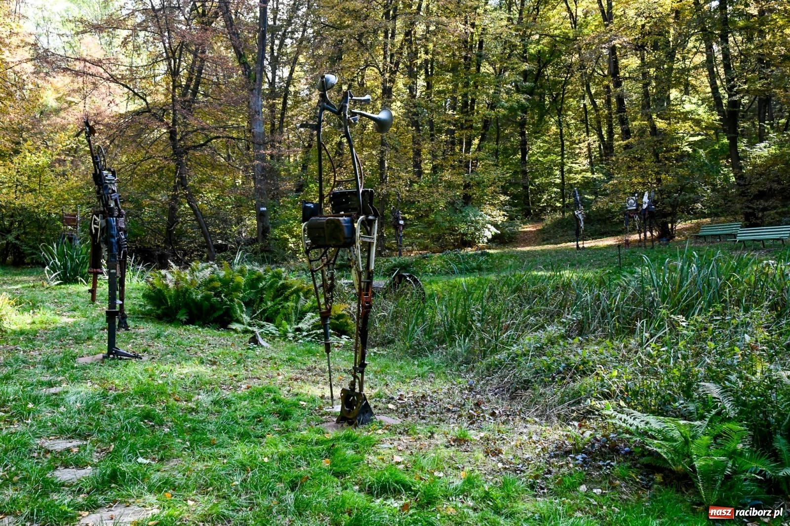 Zdjęcie w galerii na portalu naszraciborz.pl: ROZBITKOWIE Podleśnego. Ze Stoczni Gdańskiej nad Szuwarowy Staw w Oborze wiadomości z regionu