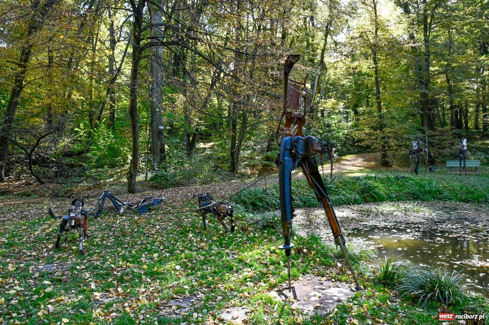 Zdjęcie w galerii na portalu naszraciborz.pl: ROZBITKOWIE Podleśnego. Ze Stoczni Gdańskiej nad Szuwarowy Staw w Oborze wiadomości z regionu