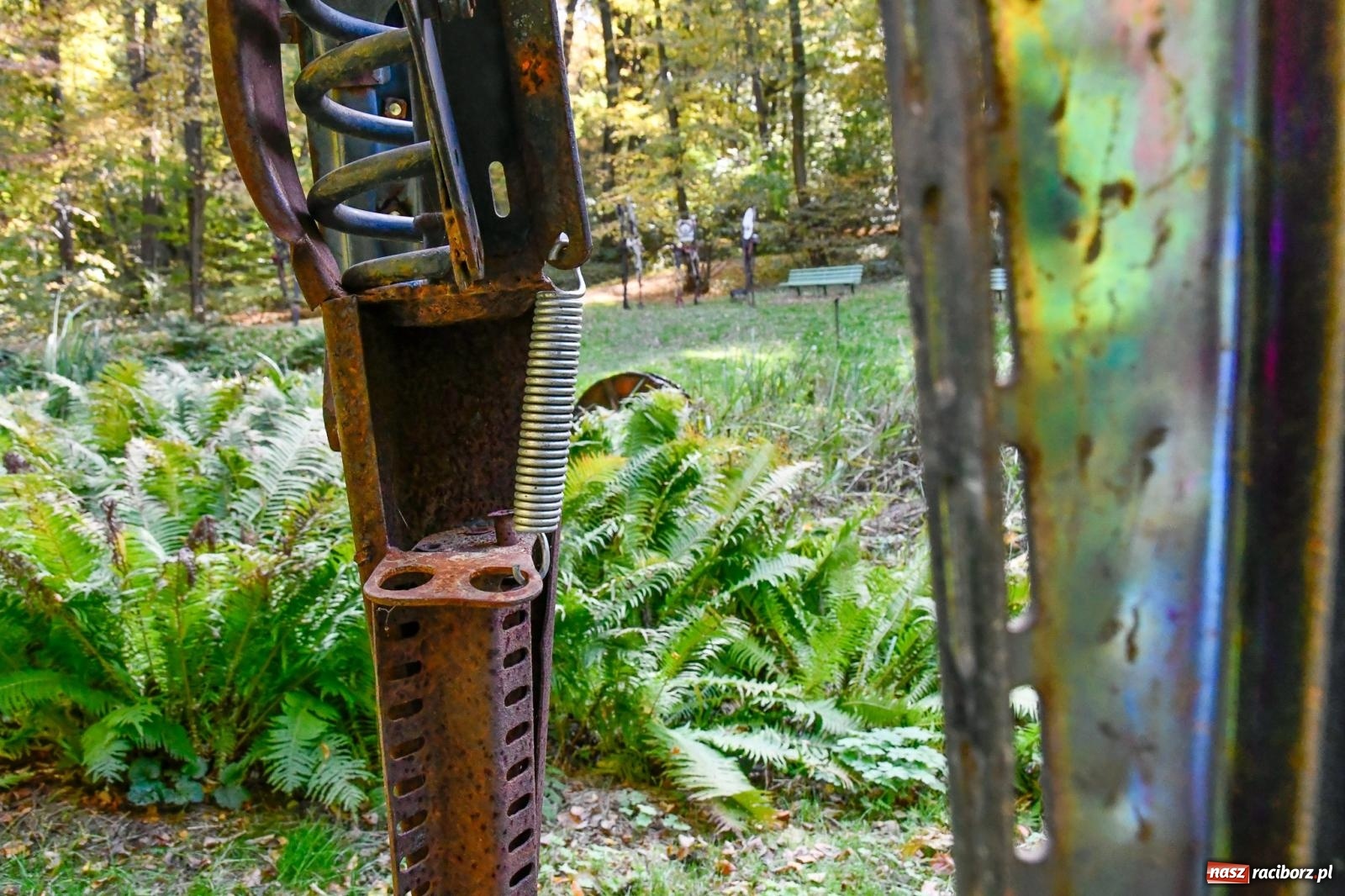 Zdjęcie w galerii na portalu naszraciborz.pl: ROZBITKOWIE Podleśnego. Ze Stoczni Gdańskiej nad Szuwarowy Staw w Oborze wiadomości z regionu