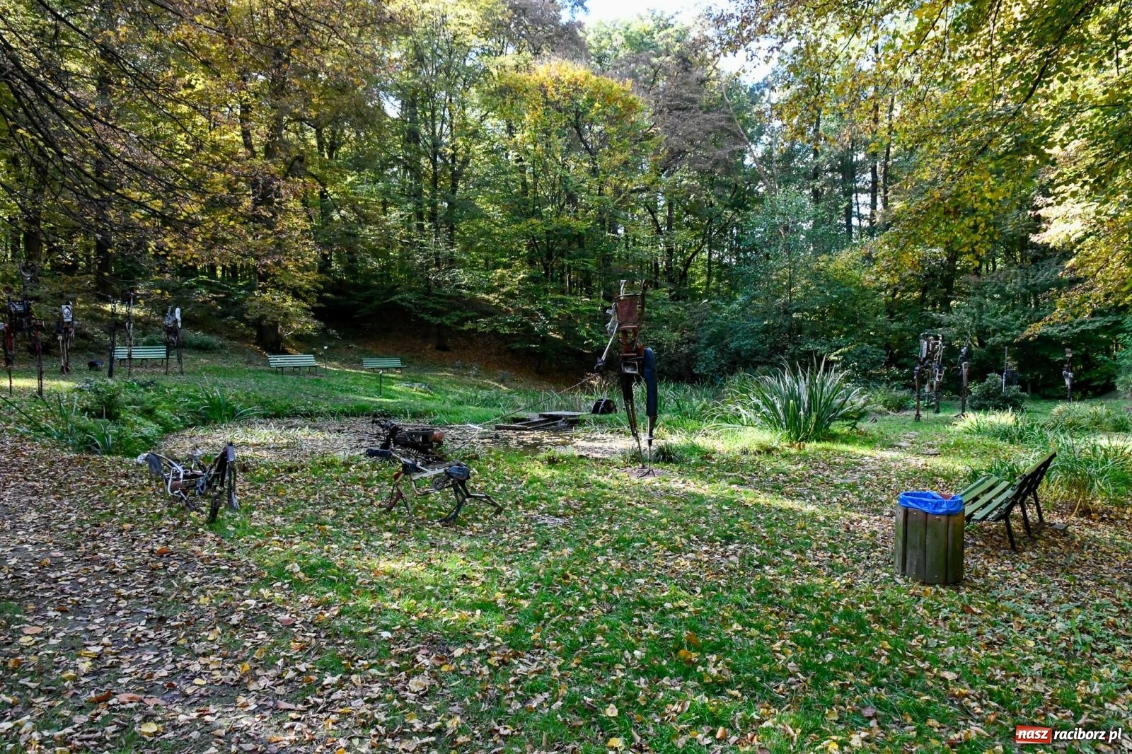 Zdjęcie w galerii na portalu naszraciborz.pl: ROZBITKOWIE Podleśnego. Ze Stoczni Gdańskiej nad Szuwarowy Staw w Oborze wiadomości z regionu