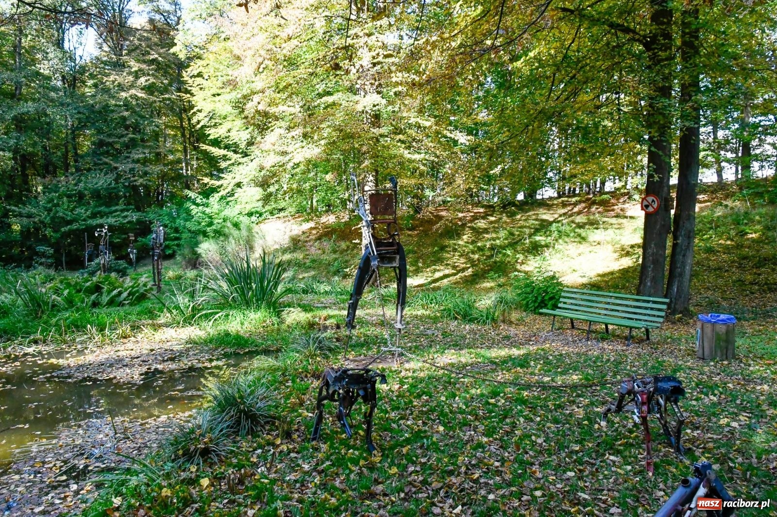 Zdjęcie w galerii na portalu naszraciborz.pl: ROZBITKOWIE Podleśnego. Ze Stoczni Gdańskiej nad Szuwarowy Staw w Oborze wiadomości z regionu