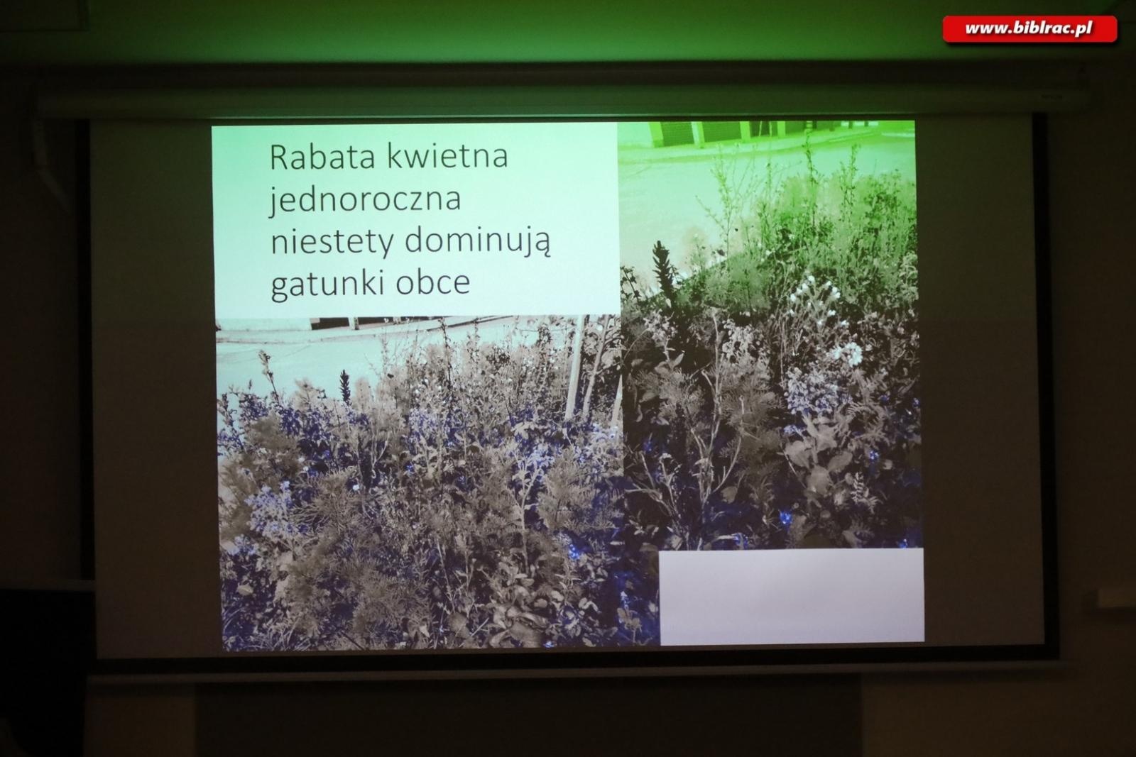 Zdjęcie w galerii na portalu naszraciborz.pl: Zaczarowany ogród w Oborze pełen… smakołyków [FOTO] wiadomości z regionu