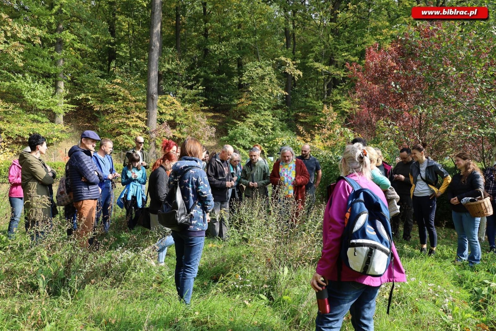 Zdjęcie w galerii na portalu naszraciborz.pl: Zaczarowany ogród w Oborze pełen… smakołyków [FOTO] wiadomości z regionu