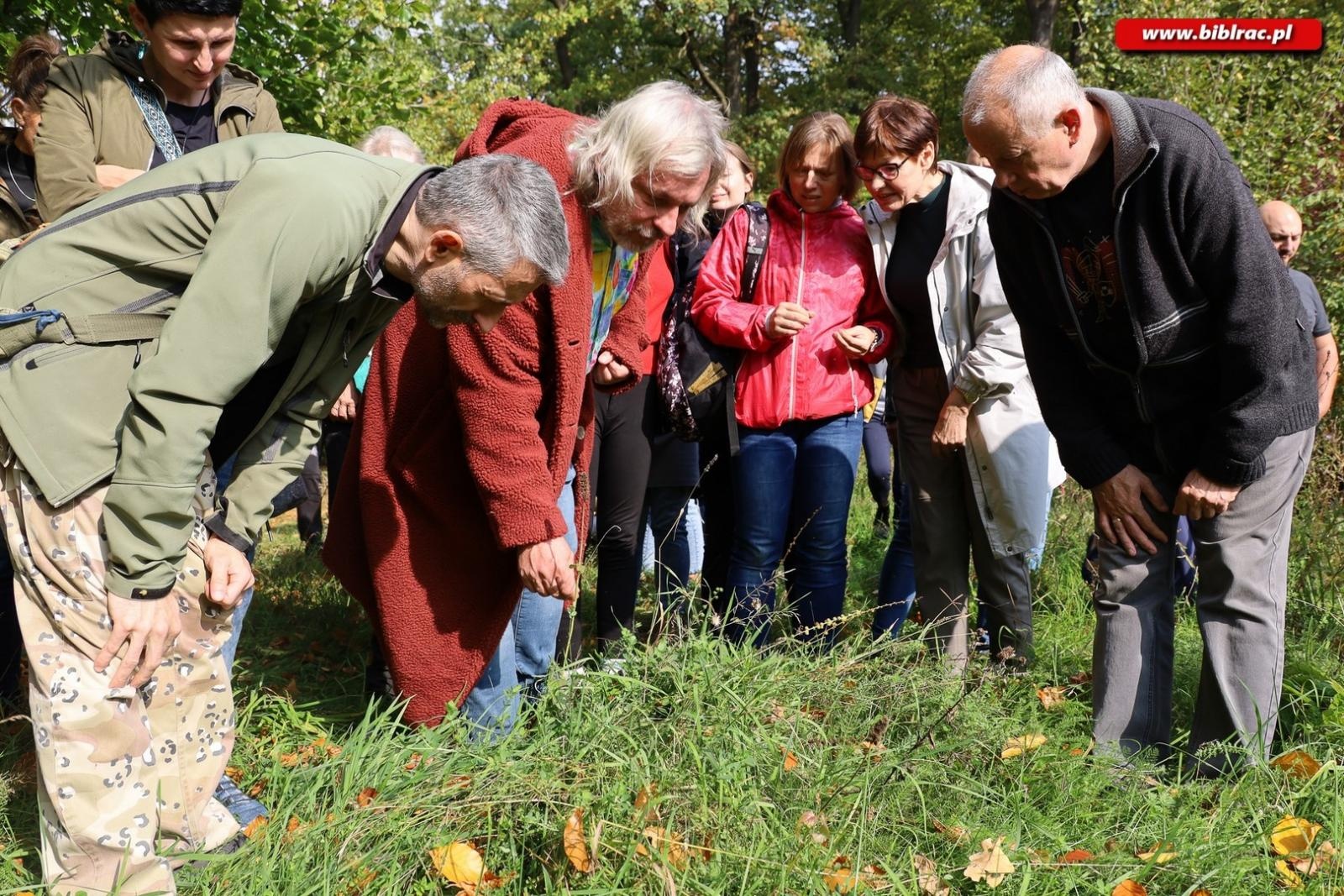 Zdjęcie w galerii na portalu naszraciborz.pl: Zaczarowany ogród w Oborze pełen… smakołyków [FOTO] wiadomości z regionu