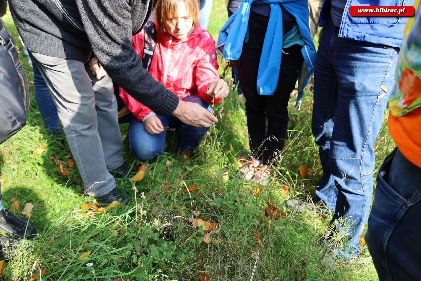 Zdjęcie w galerii na portalu naszraciborz.pl: Zaczarowany ogród w Oborze pełen… smakołyków [FOTO] wiadomości z regionu