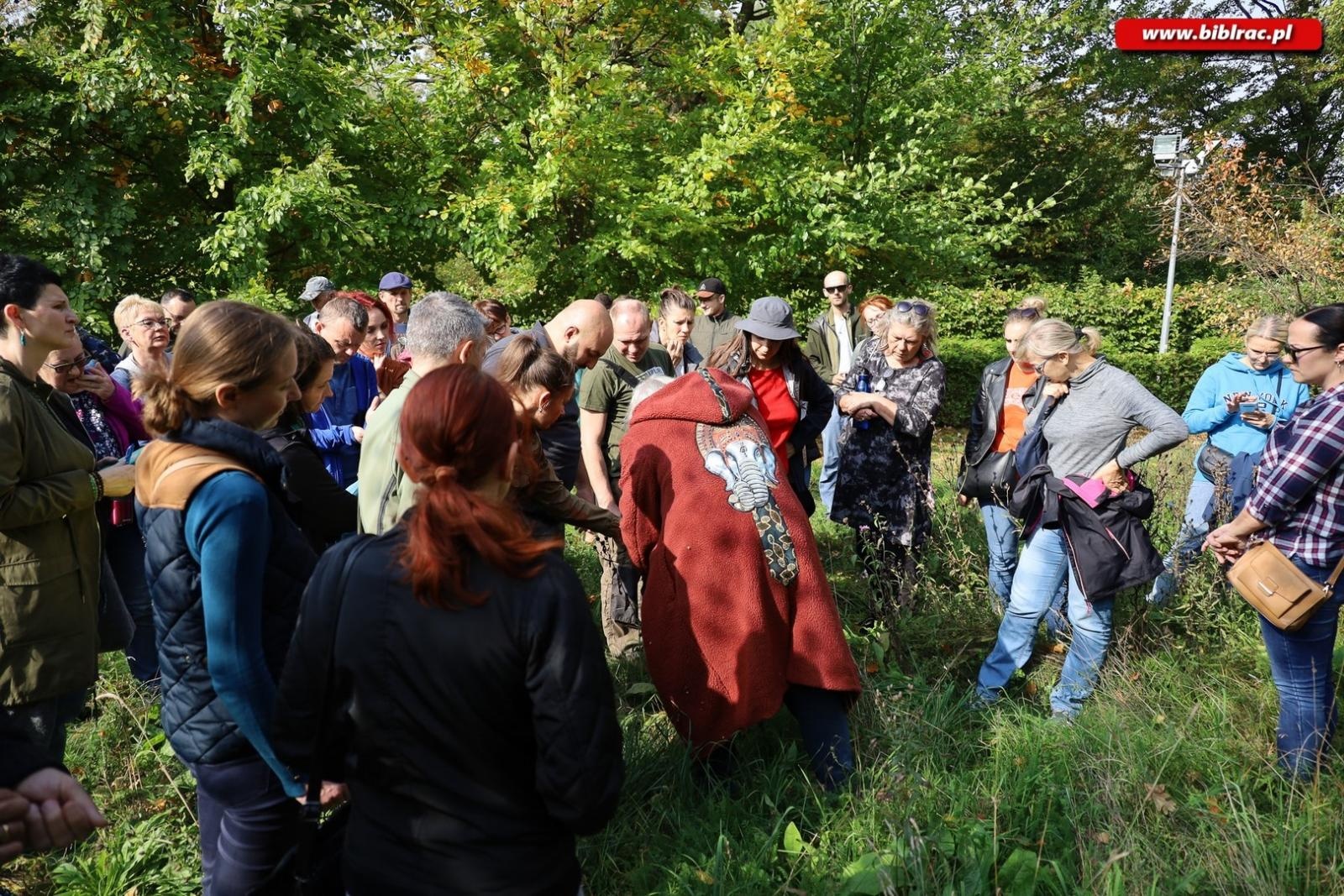Zdjęcie w galerii na portalu naszraciborz.pl: Zaczarowany ogród w Oborze pełen… smakołyków [FOTO] wiadomości z regionu