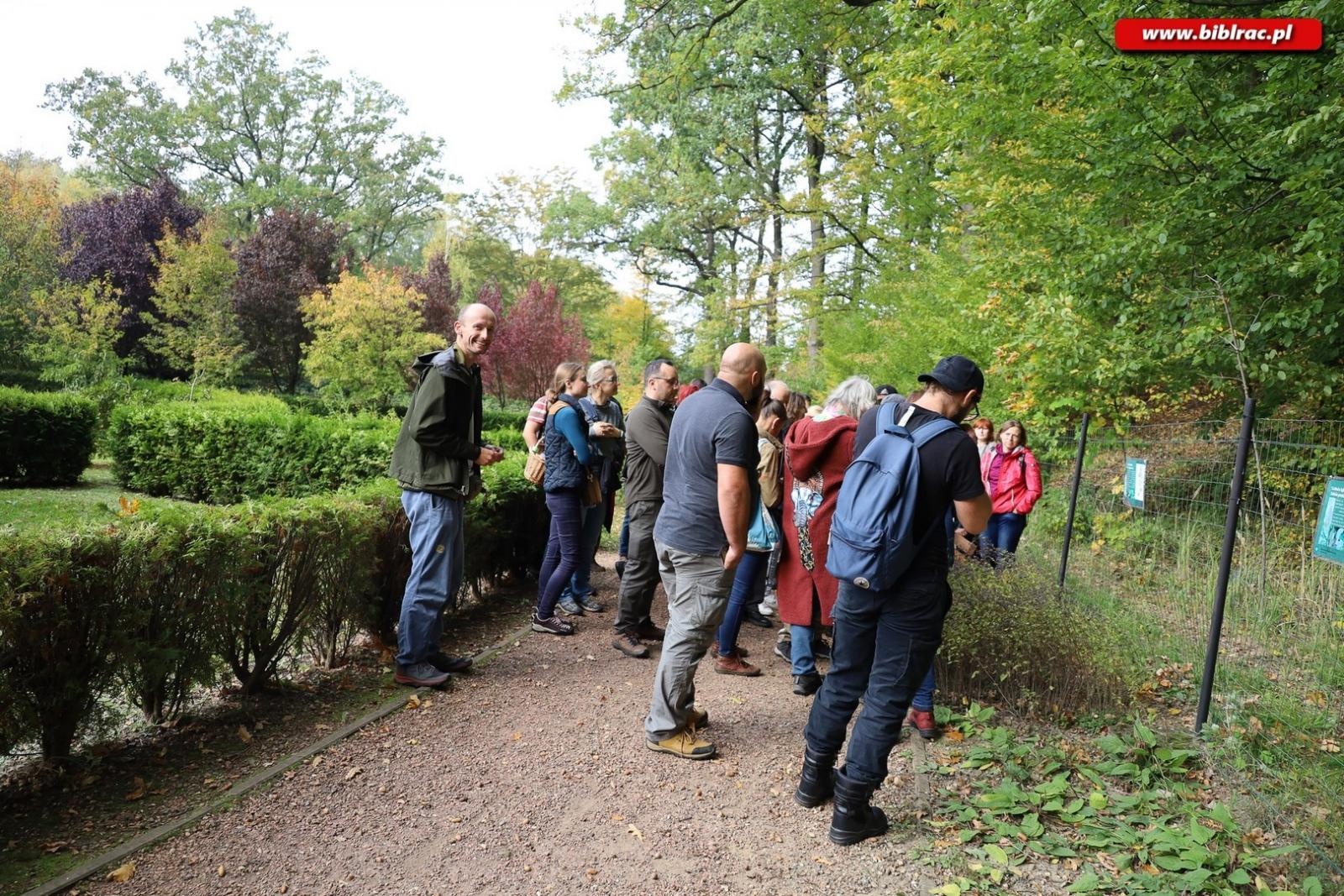 Zdjęcie w galerii na portalu naszraciborz.pl: Zaczarowany ogród w Oborze pełen… smakołyków [FOTO] wiadomości z regionu