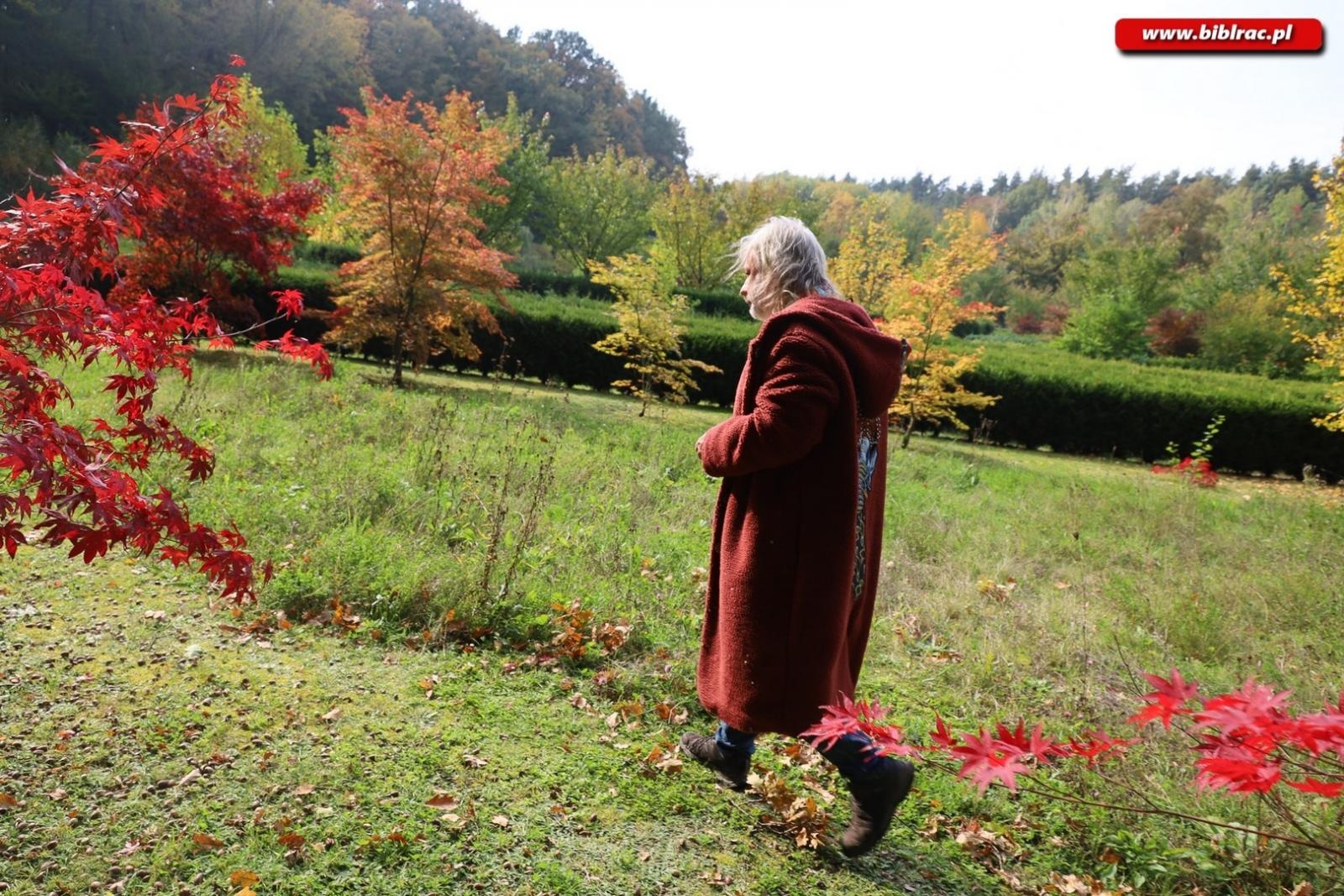 Zdjęcie w galerii na portalu naszraciborz.pl: Zaczarowany ogród w Oborze pełen… smakołyków [FOTO] wiadomości z regionu