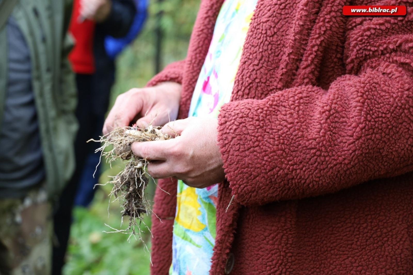 Zdjęcie w galerii na portalu naszraciborz.pl: Zaczarowany ogród w Oborze pełen… smakołyków [FOTO] wiadomości z regionu