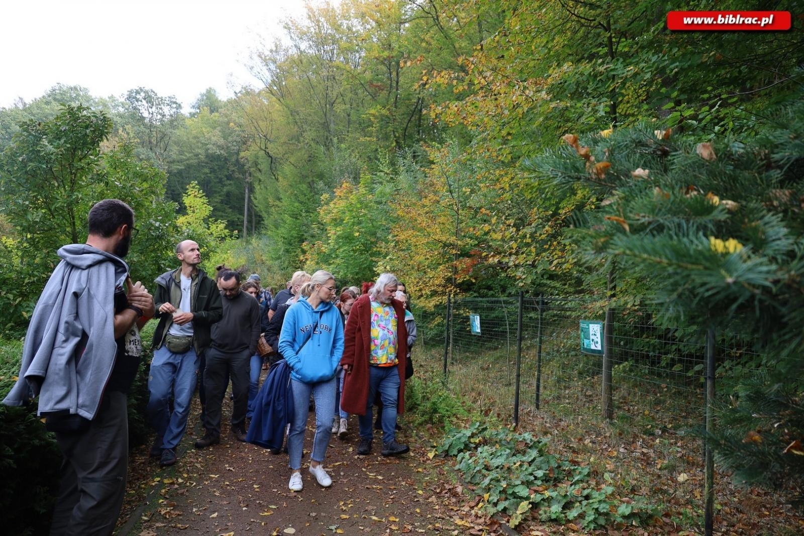 Zdjęcie w galerii na portalu naszraciborz.pl: Zaczarowany ogród w Oborze pełen… smakołyków [FOTO] wiadomości z regionu