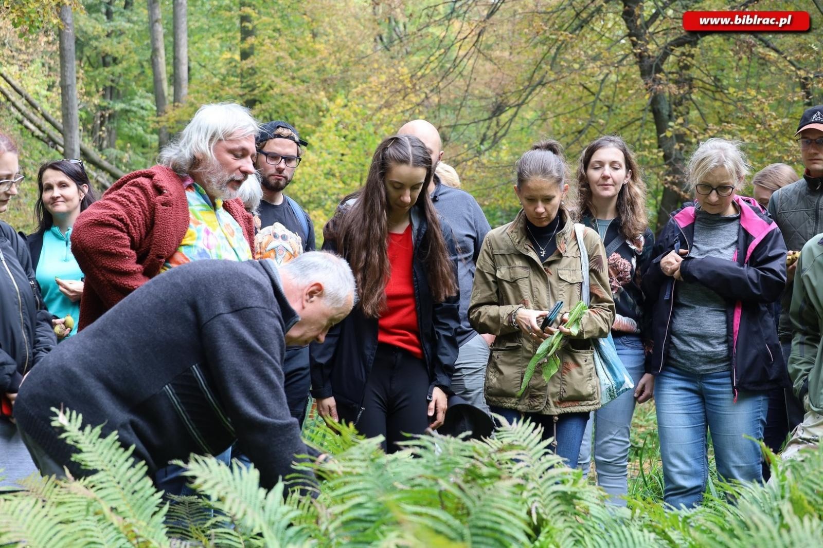 Zdjęcie w galerii na portalu naszraciborz.pl: Zaczarowany ogród w Oborze pełen… smakołyków [FOTO] wiadomości z regionu