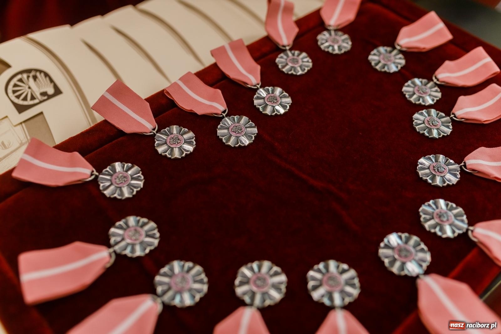 Zdjęcie w galerii na portalu naszraciborz.pl: Najważniejsza jest zgoda. Złote gody w raciborskim USC [FOTO i WIDEO] wiadomości z regionu