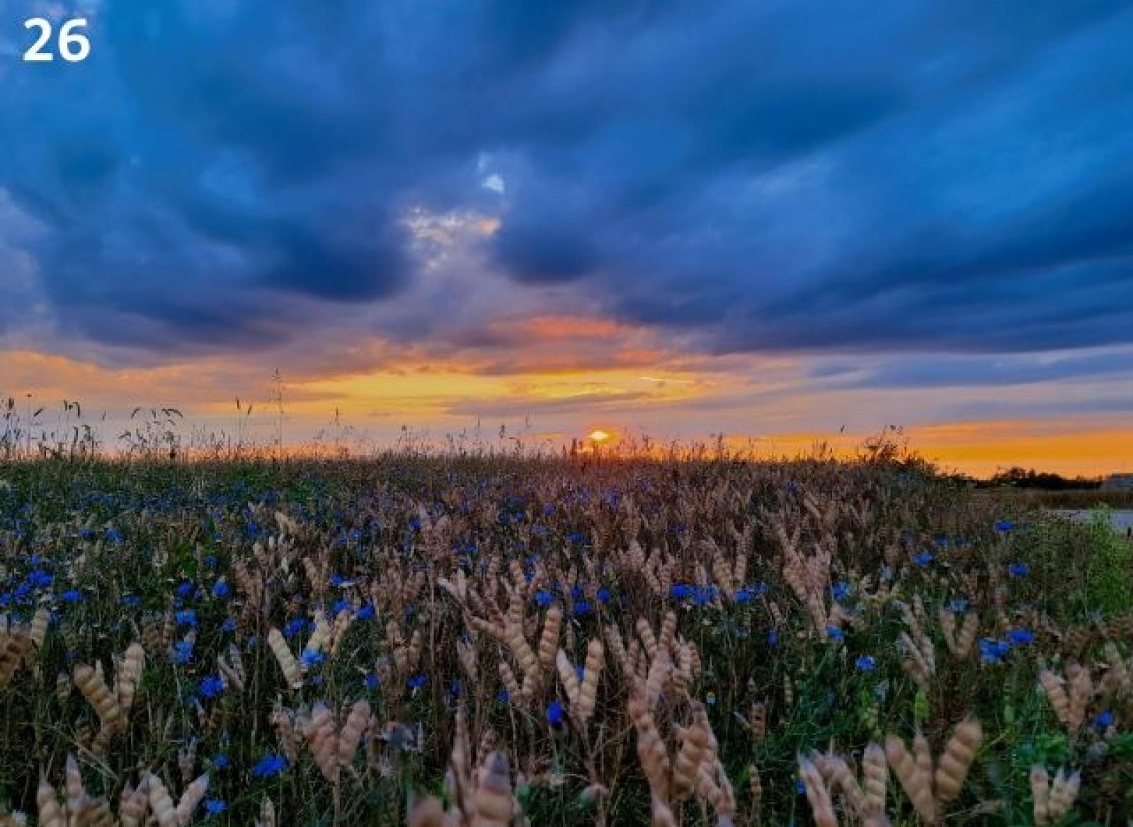 Zdjęcie w galerii na portalu naszraciborz.pl: Lokalne piękno w fotografii wiadomości z regionu