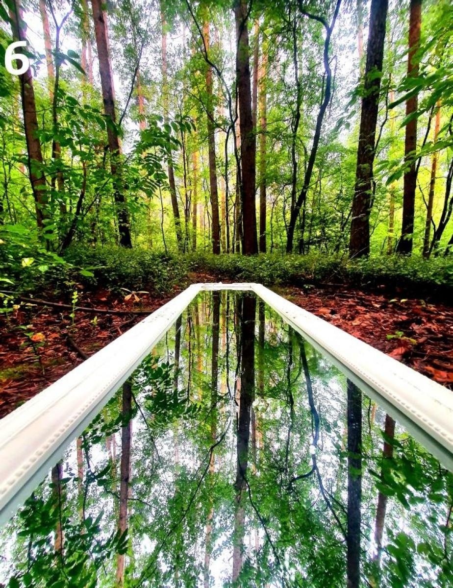 Zdjęcie w galerii na portalu naszraciborz.pl: Lokalne piękno w fotografii wiadomości z regionu
