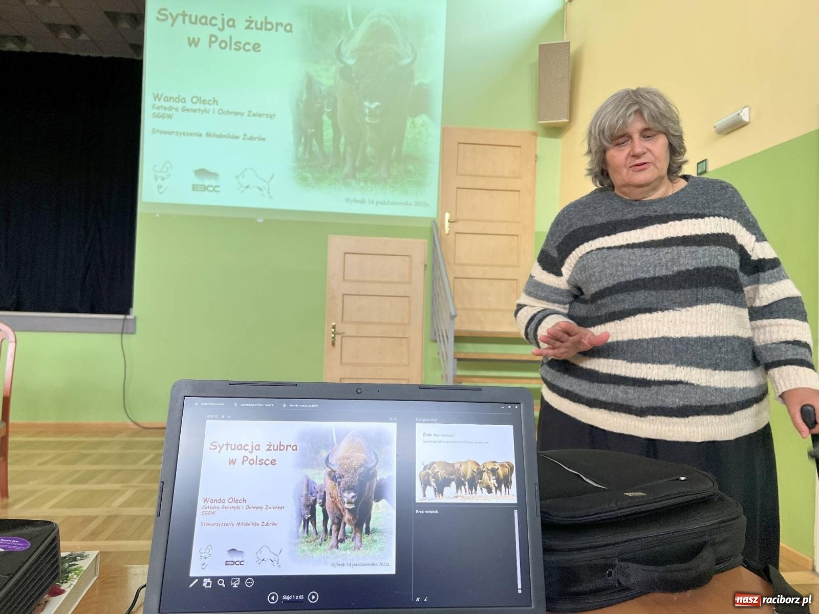 Zdjęcie w galerii na portalu naszraciborz.pl: Żubry zawitają do Brzezia we wrześniu przyszłego roku wiadomości z regionu