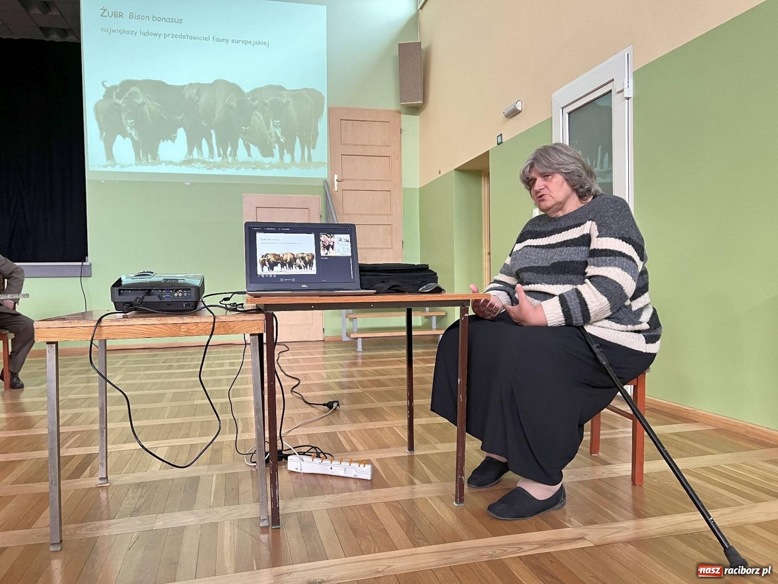 Zdjęcie w galerii na portalu naszraciborz.pl: Żubry zawitają do Brzezia we wrześniu przyszłego roku wiadomości z regionu