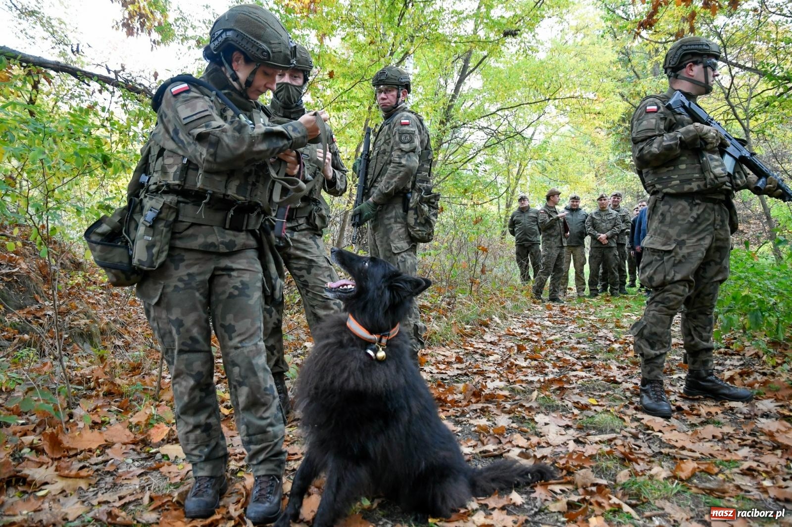 Zdjęcie w galerii na portalu naszraciborz.pl: Strzały i wybuchy. Śląscy terytorialsi ćwiczą w Kuźni Raciborskiej [FOTO i WIDEO] wiadomości z regionu
