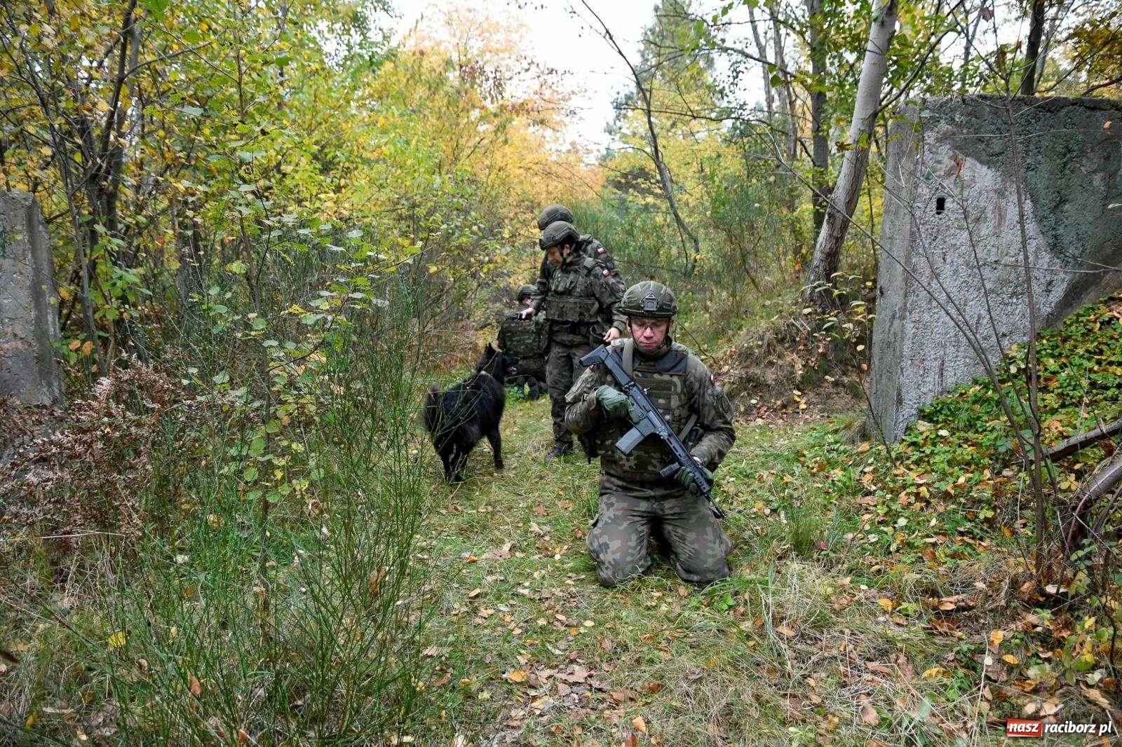 Zdjęcie w galerii na portalu naszraciborz.pl: Strzały i wybuchy. Śląscy terytorialsi ćwiczą w Kuźni Raciborskiej [FOTO i WIDEO] wiadomości z regionu