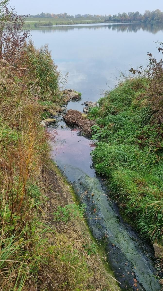 Zdjęcie w galerii na portalu naszraciborz.pl: Strażackie grupy ratownictwa chemicznego działają w Krzyżanowicach wiadomości z regionu