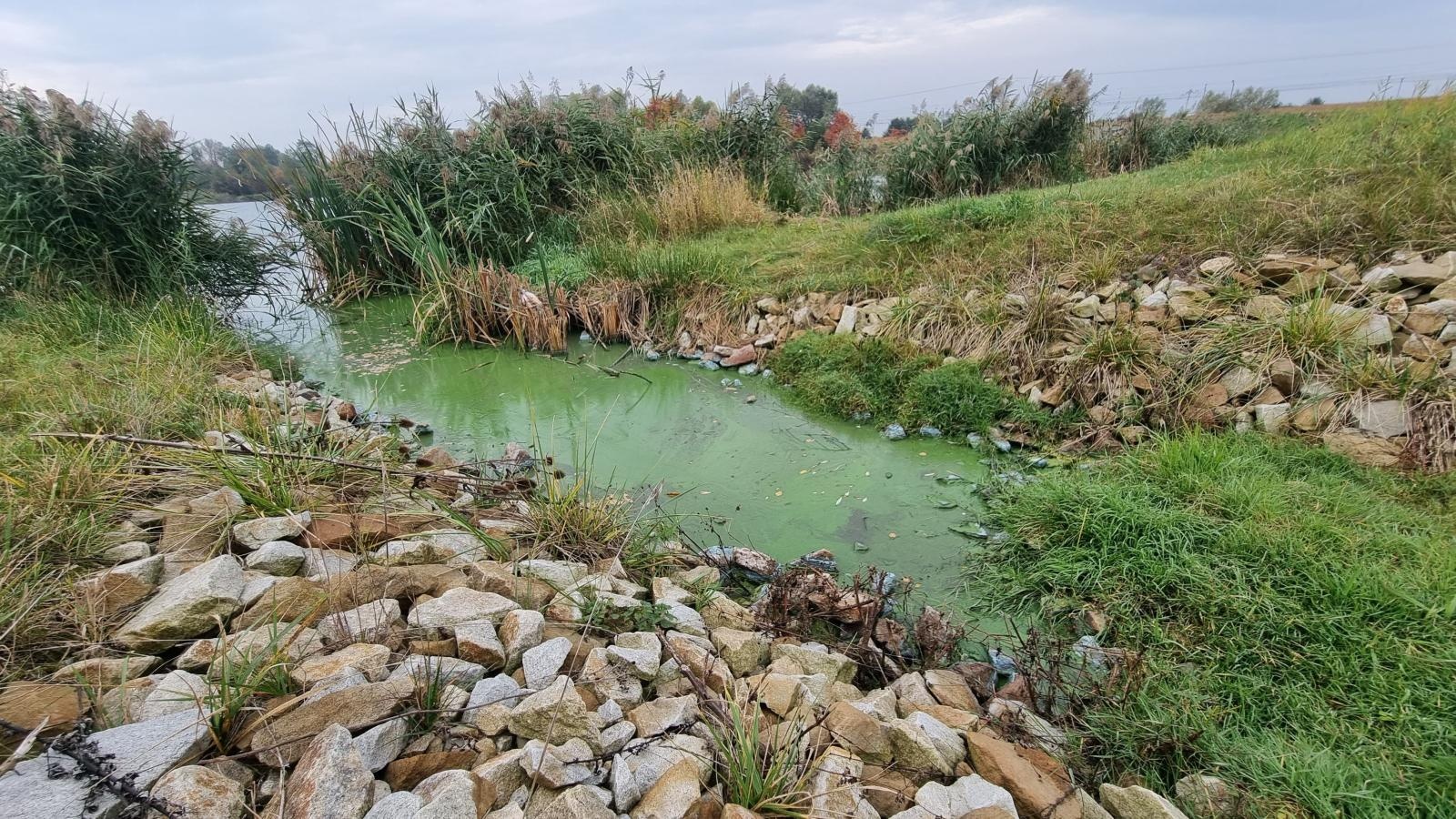 Zdjęcie w galerii na portalu naszraciborz.pl: Strażackie grupy ratownictwa chemicznego działają w Krzyżanowicach wiadomości z regionu
