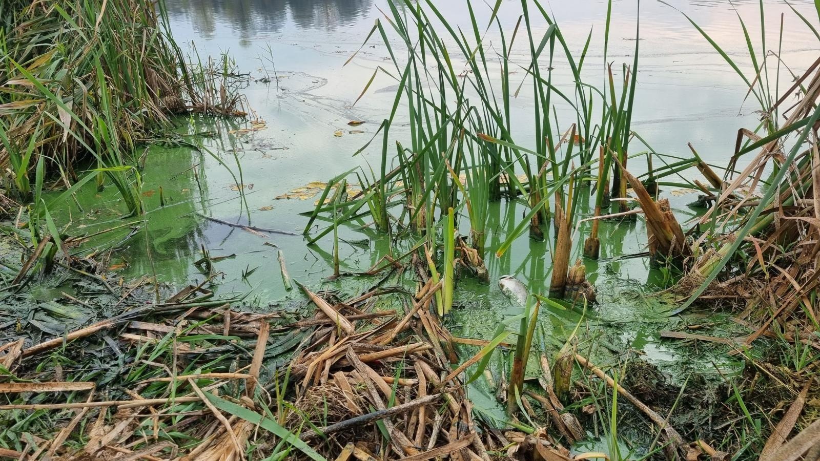 Zdjęcie w galerii na portalu naszraciborz.pl: Strażackie grupy ratownictwa chemicznego działają w Krzyżanowicach wiadomości z regionu