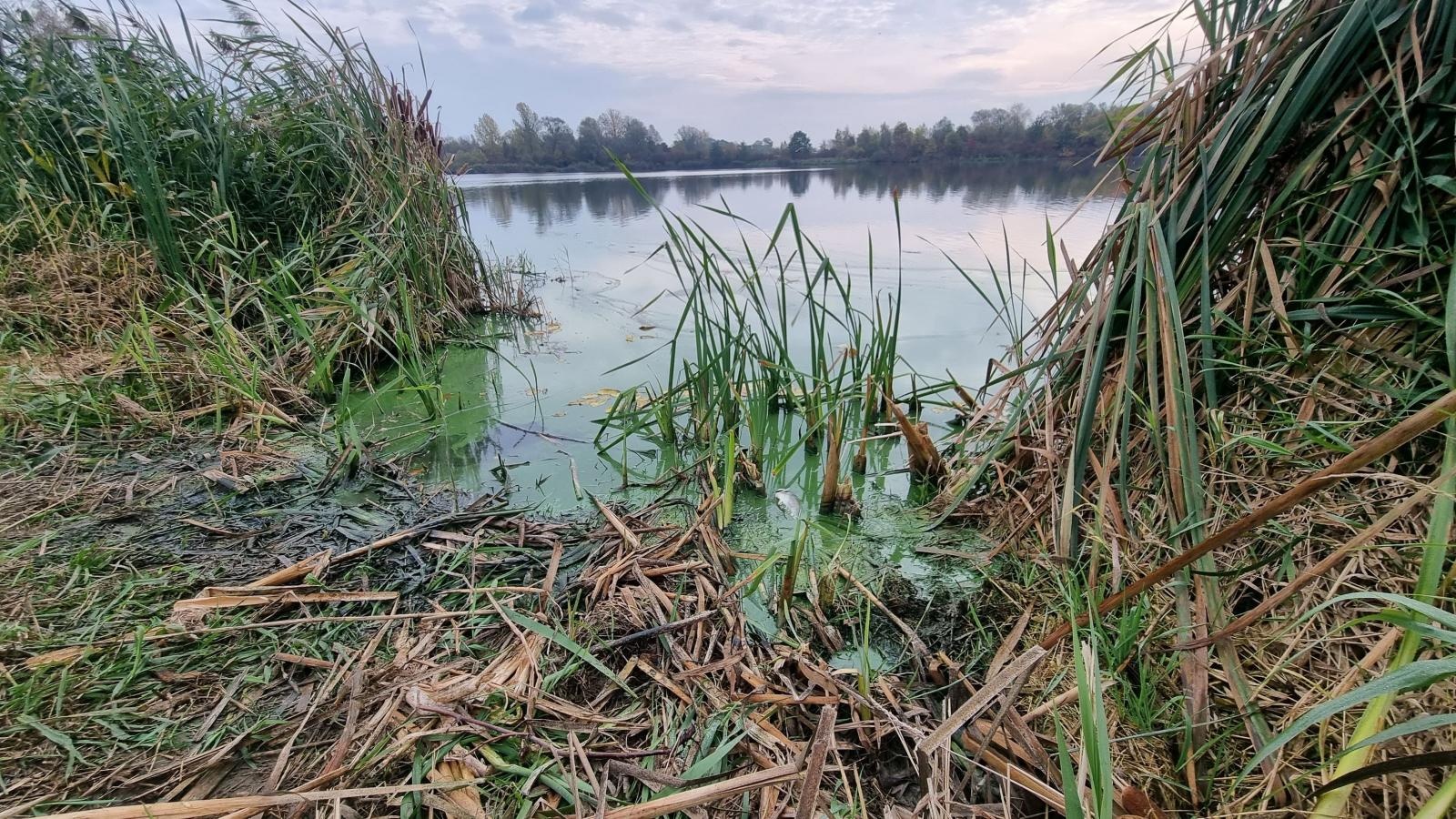 Zdjęcie w galerii na portalu naszraciborz.pl: Strażackie grupy ratownictwa chemicznego działają w Krzyżanowicach wiadomości z regionu